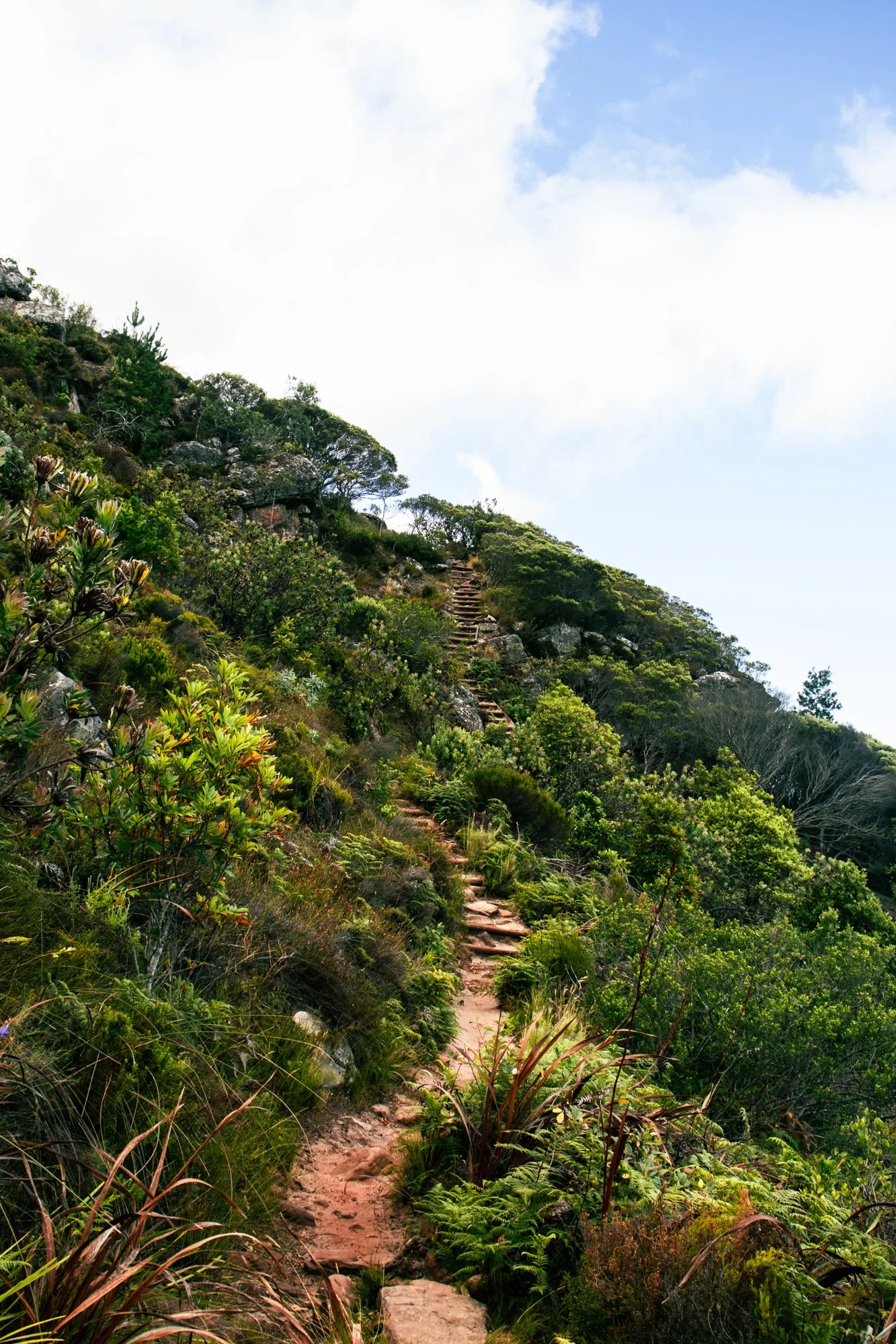 Kaapstad3.26.jpg