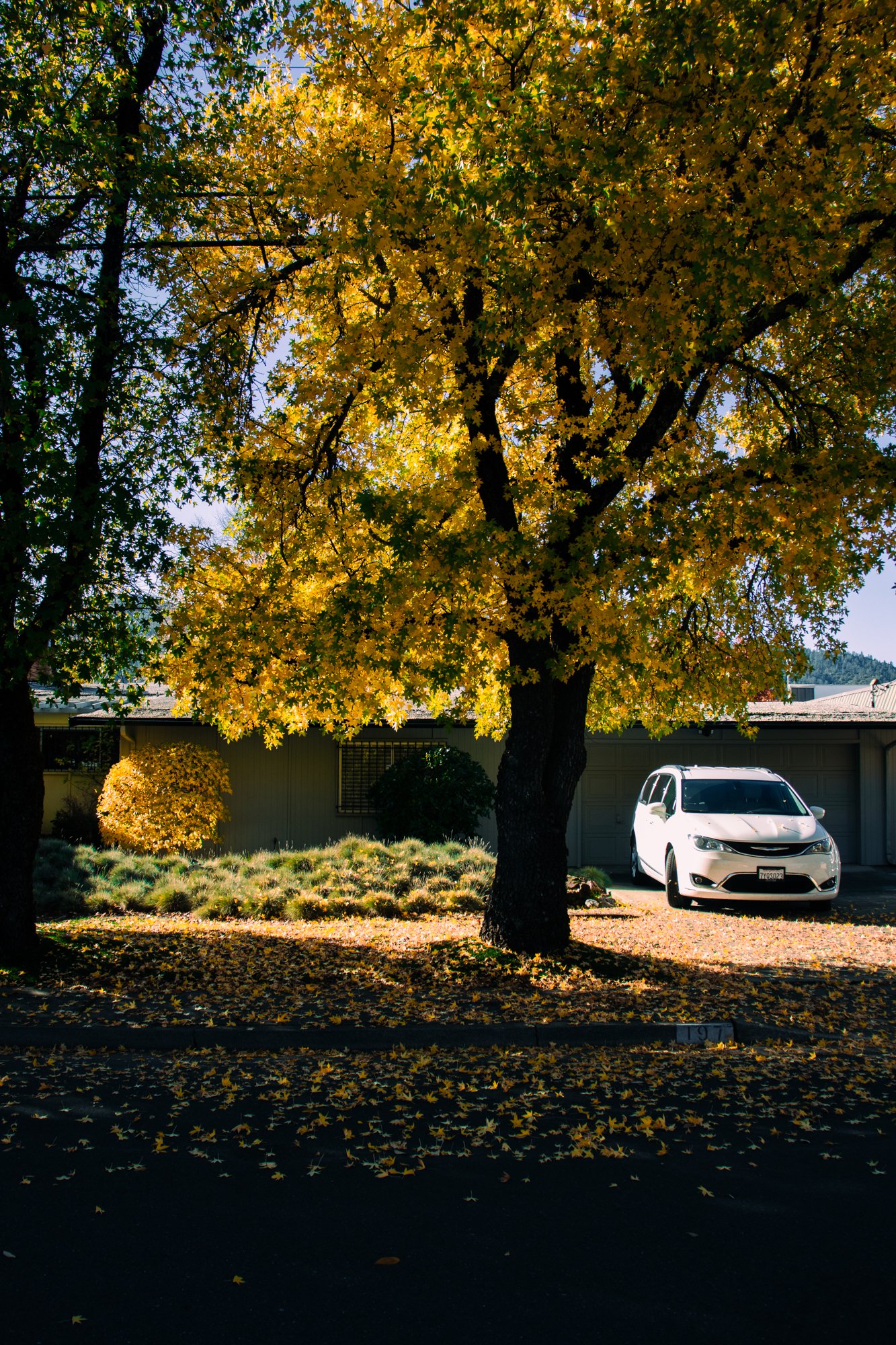 ukiah15.jpg