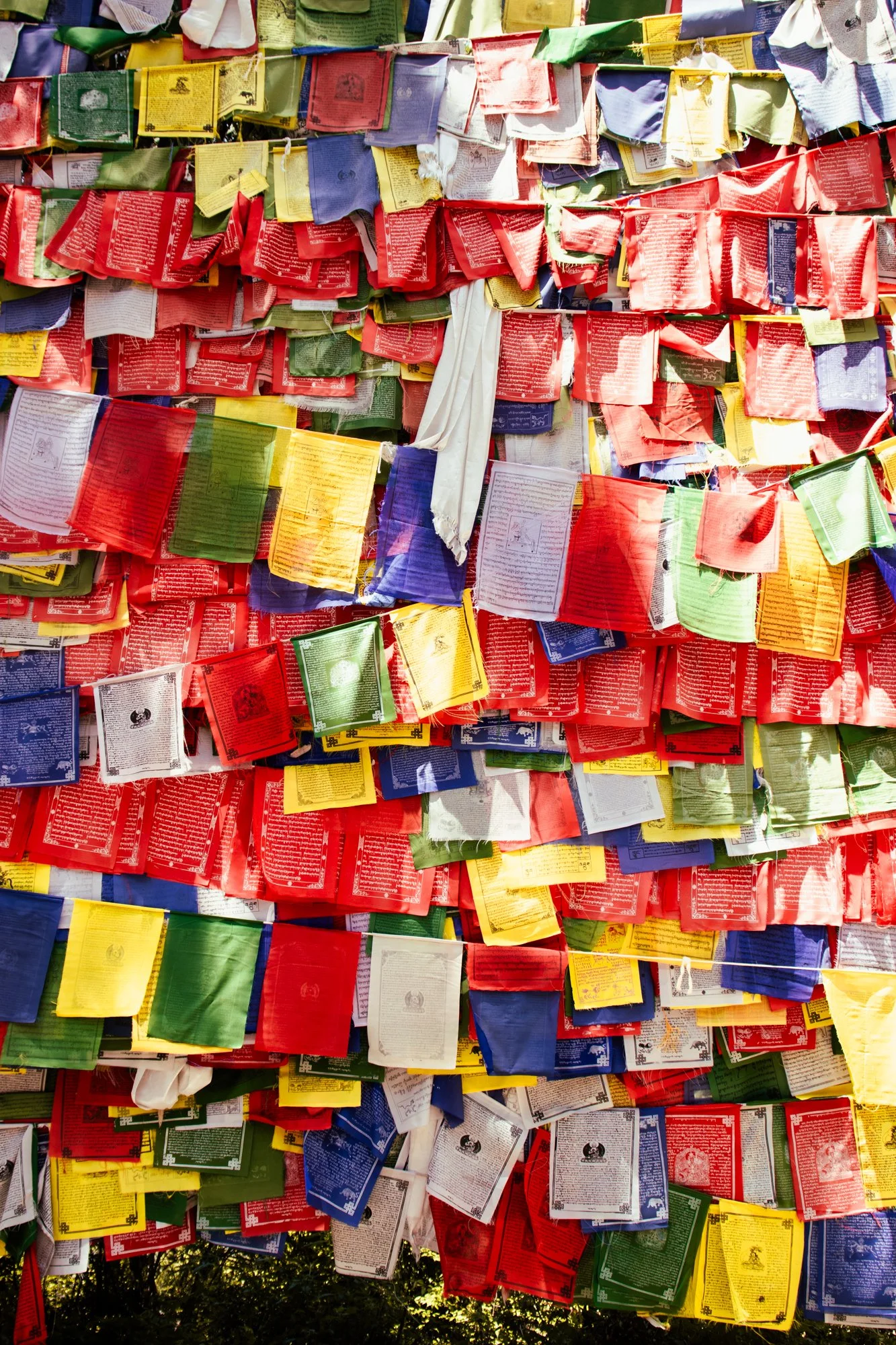 streetphotographyDharamsala21.jpg