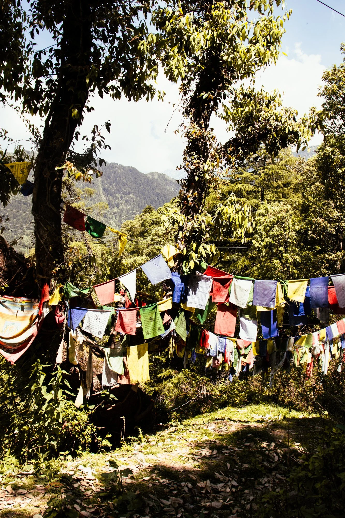streetphotographyDharamsala14.jpg