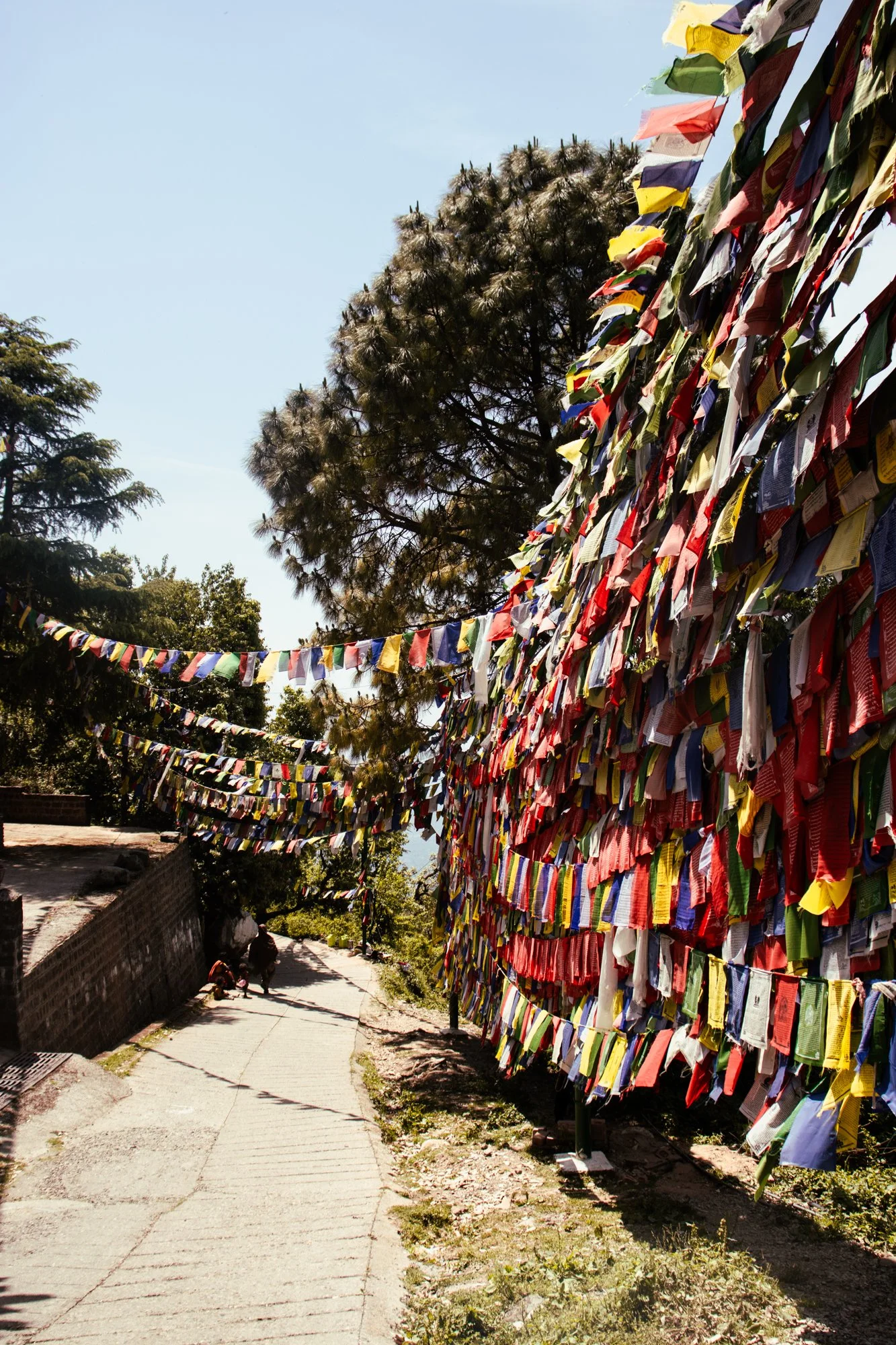 streetphotographyDharamsala20.jpg