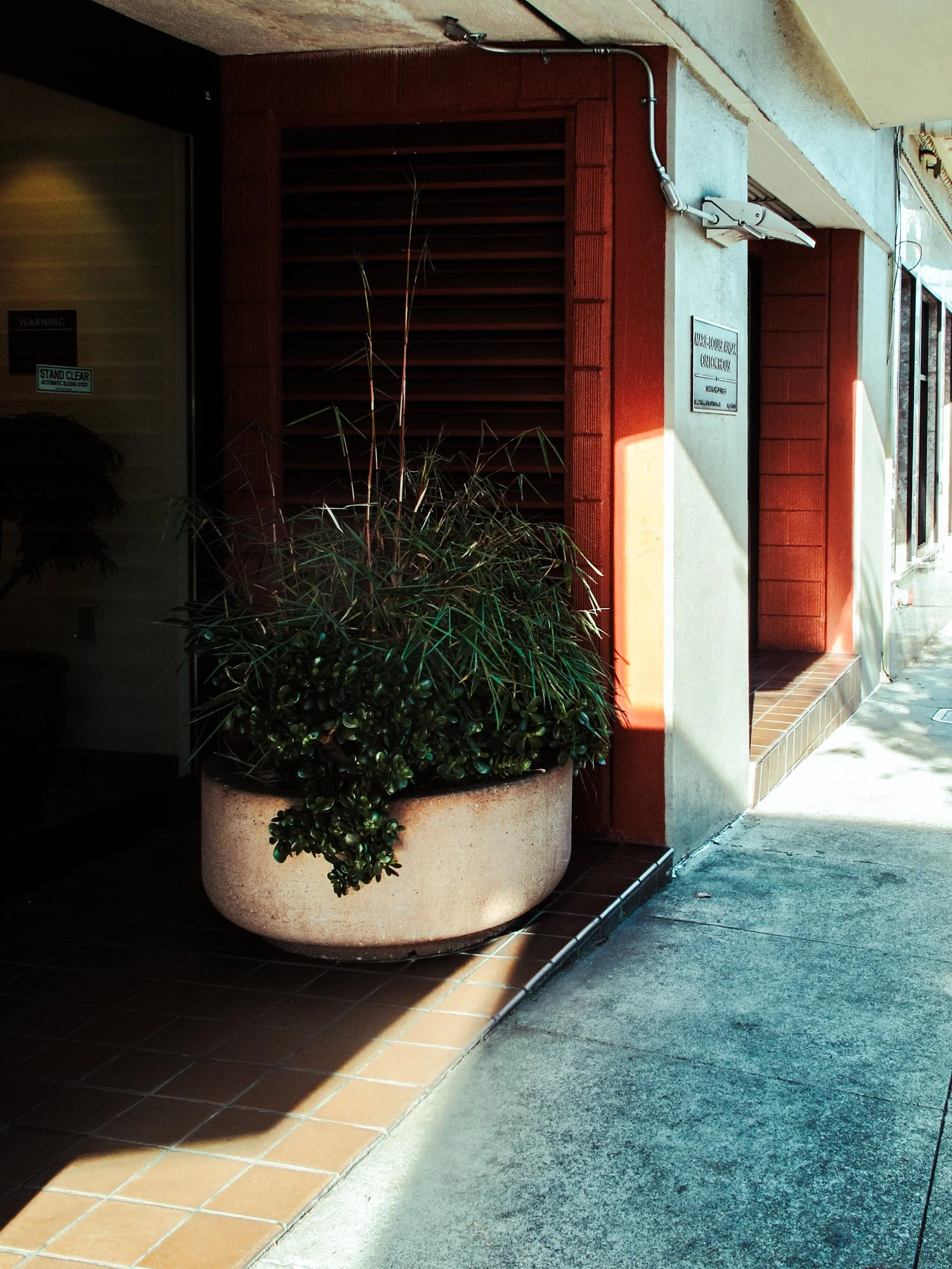 sanfrancisco7.jpg