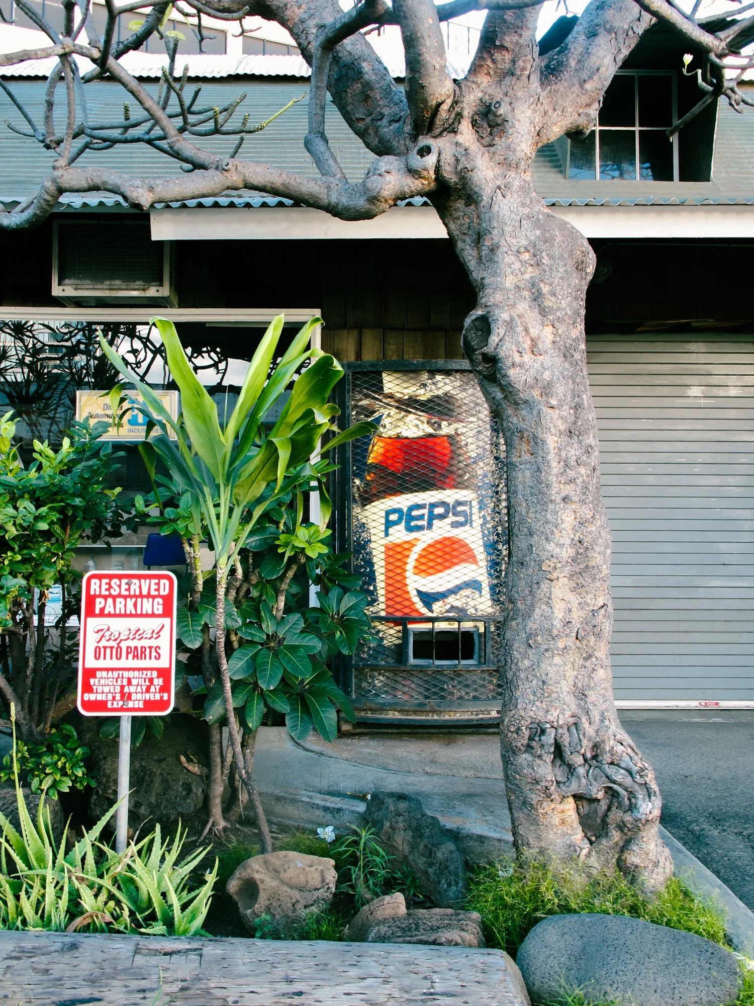 honolulu4.jpg