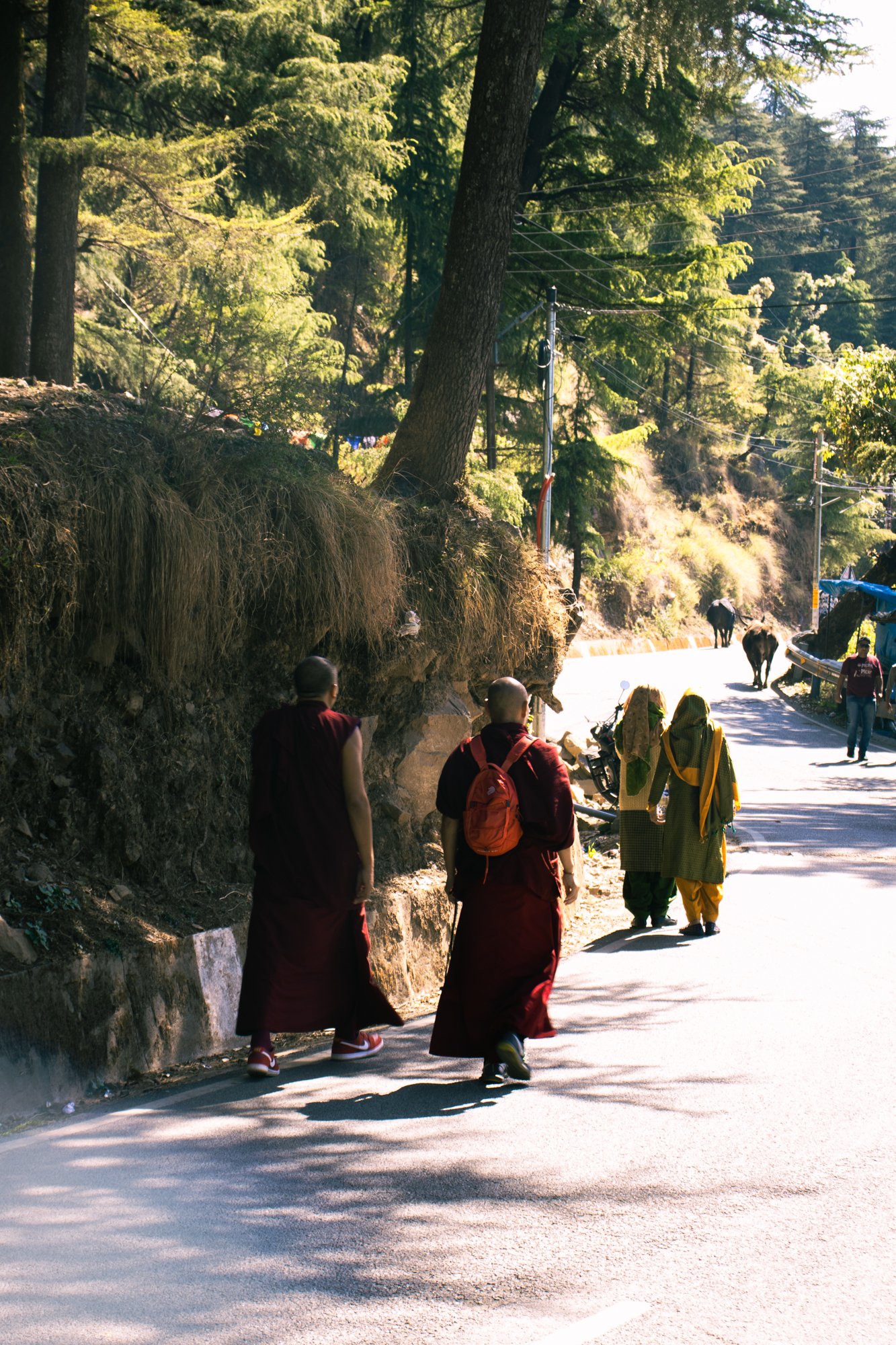 streetphotographyDharamsala9.jpg