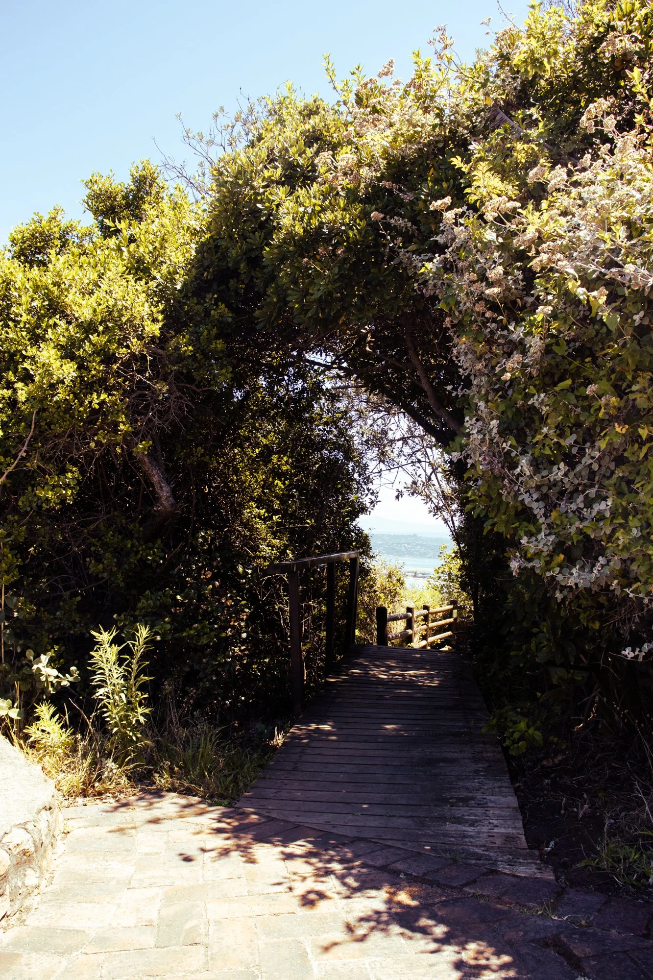 Knysna1.13.jpg
