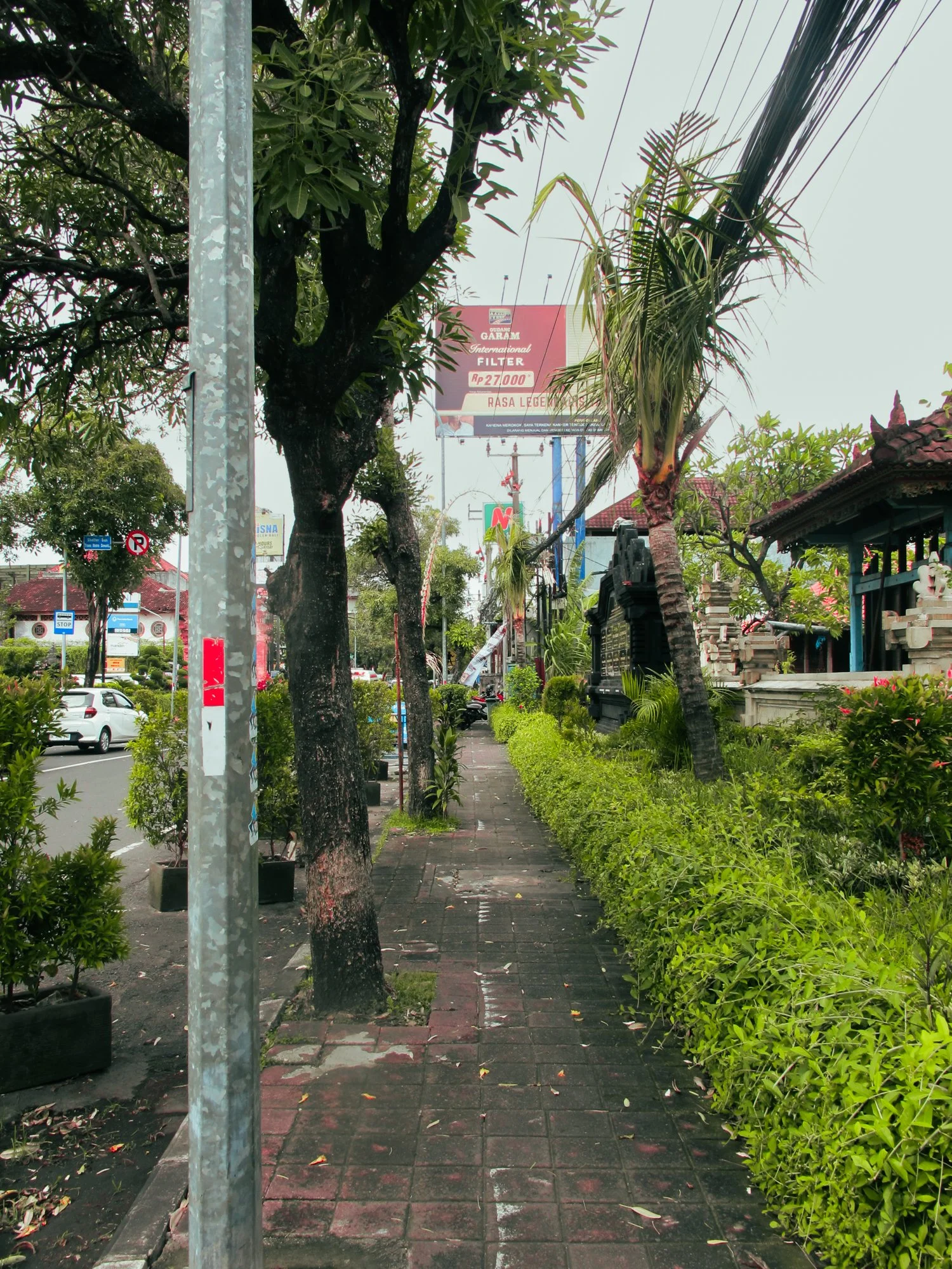 Bali2025.18.jpg