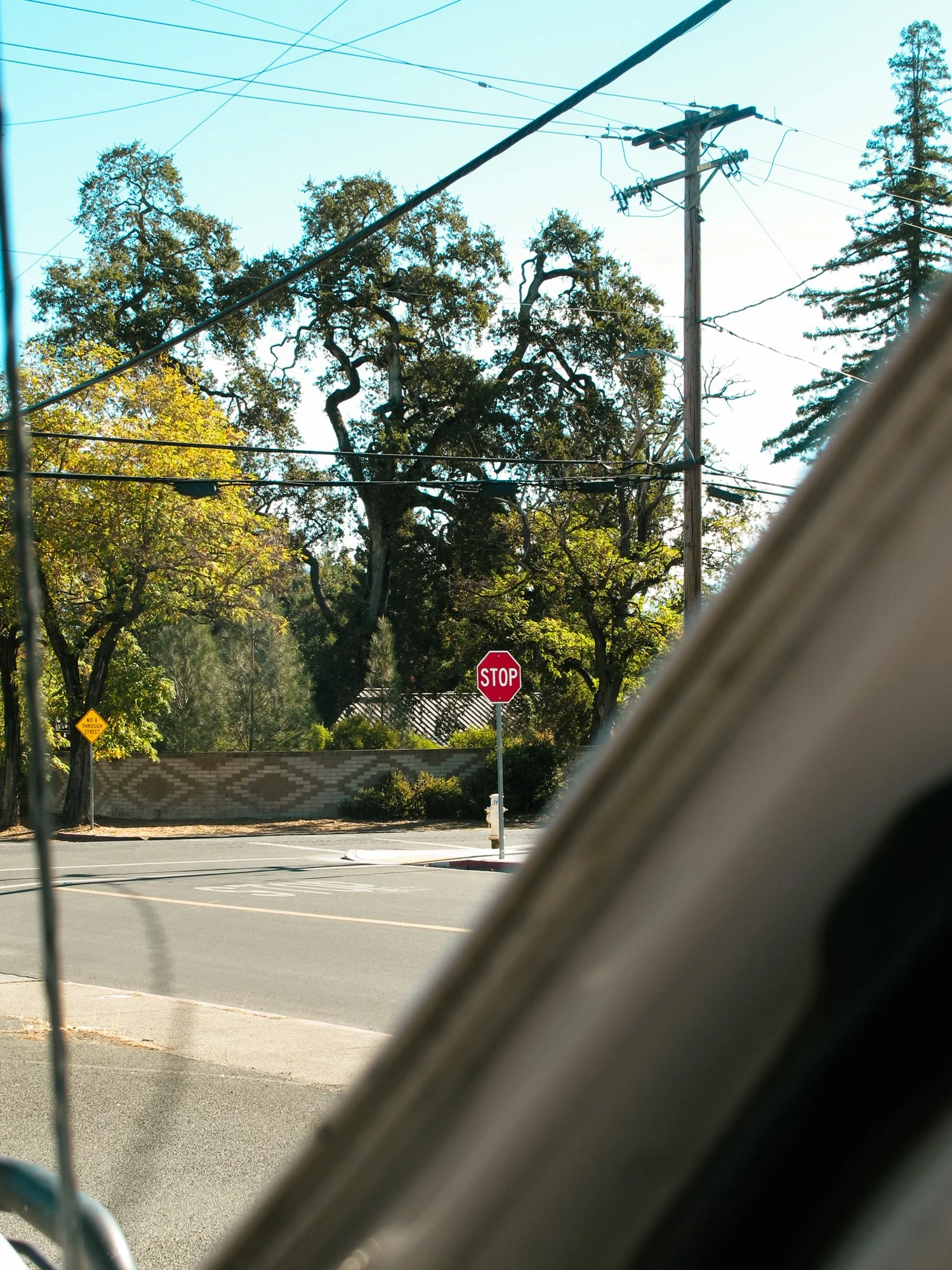 ukiah6.jpg