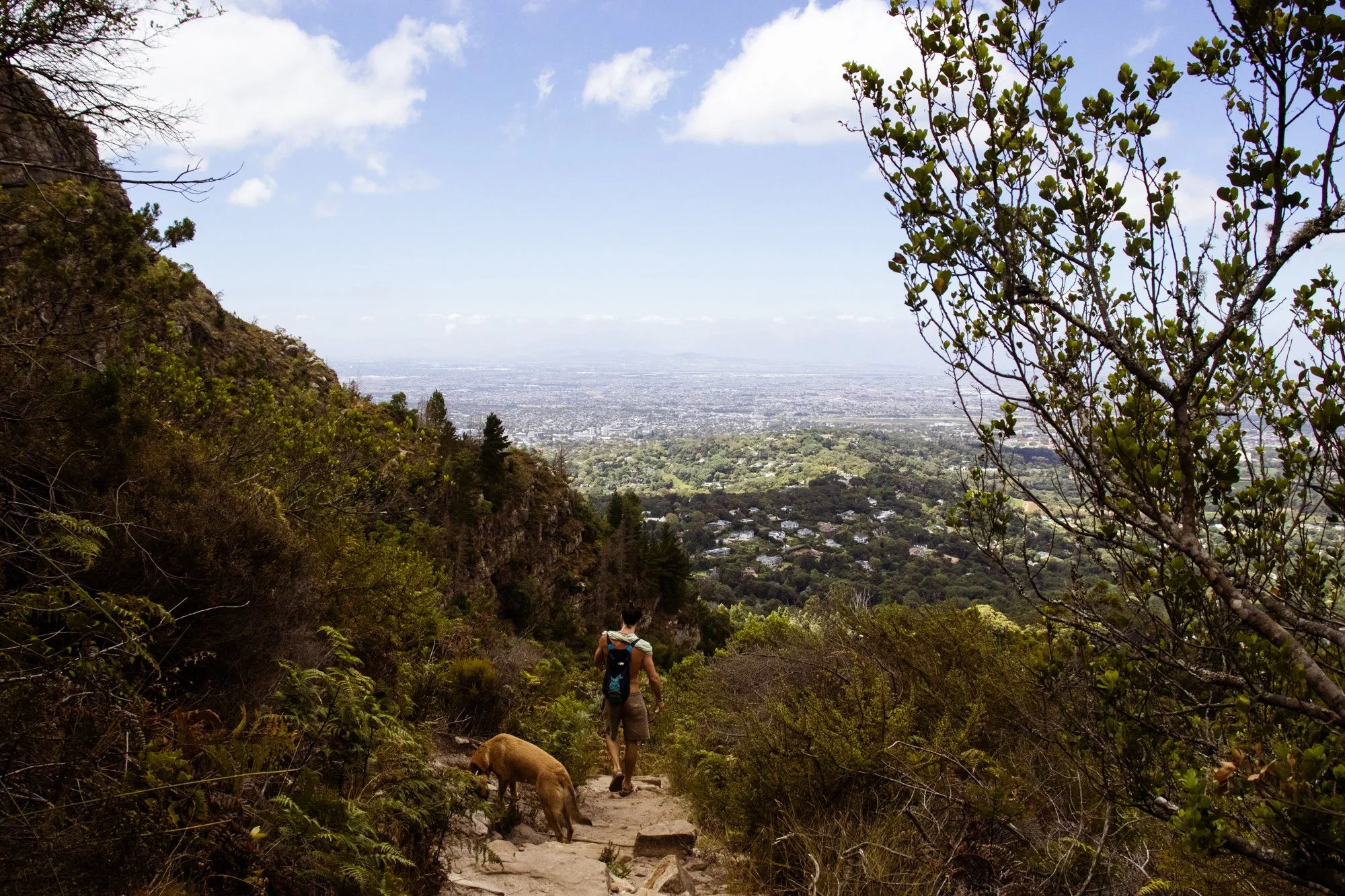 Kaapstad3.14.jpg