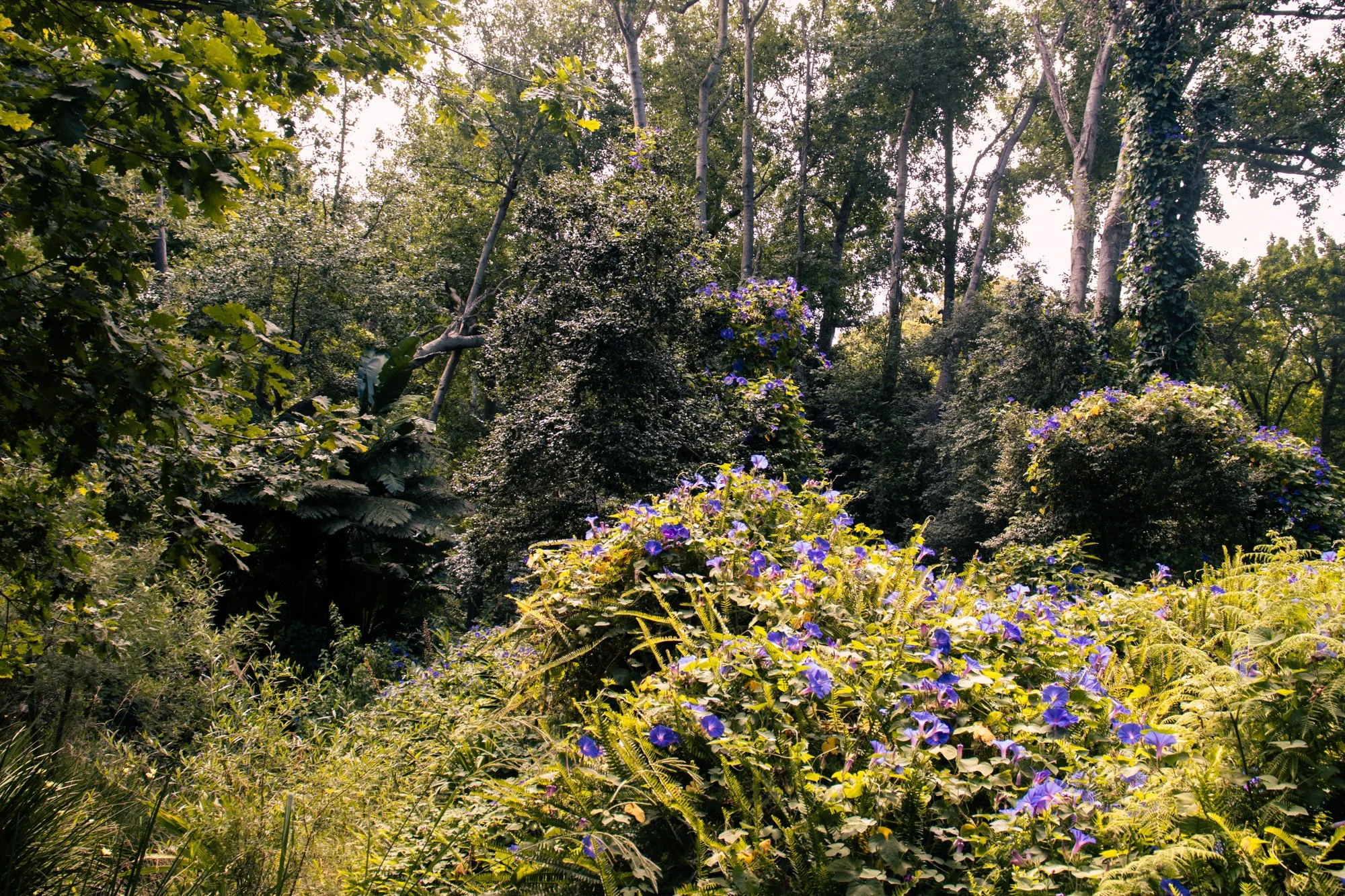 Kaapstadnatuur1.1.jpg