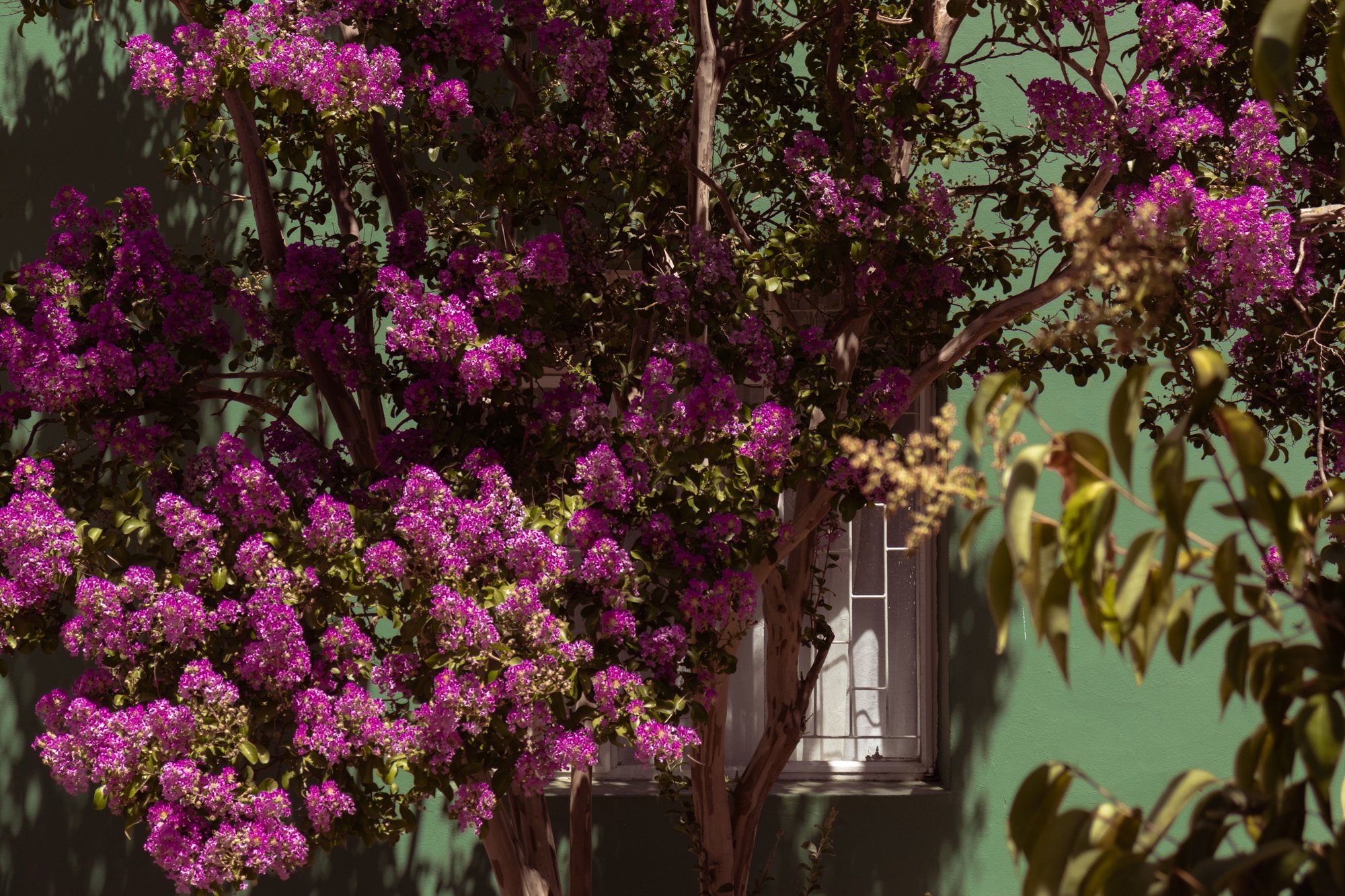 porterville2.3.jpg