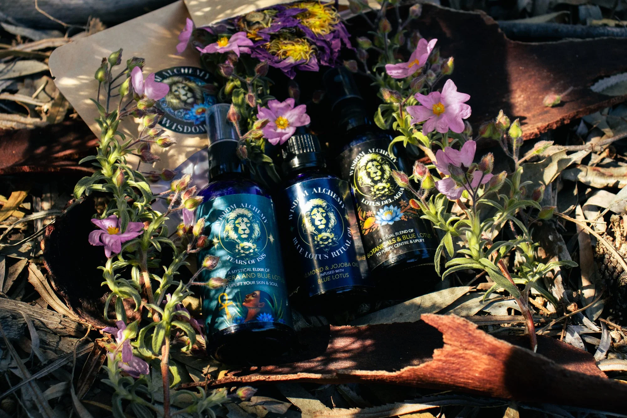 AlchemyWisdom_SpringShoot2.jpg