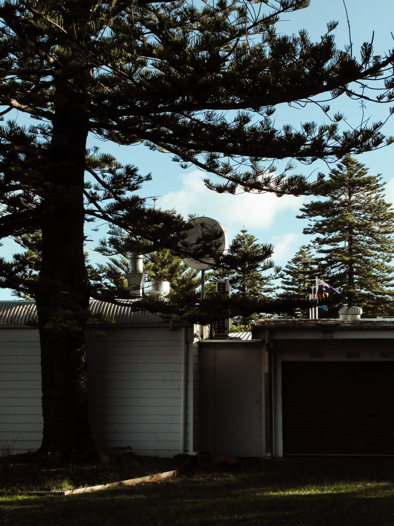 sydney2.jpg