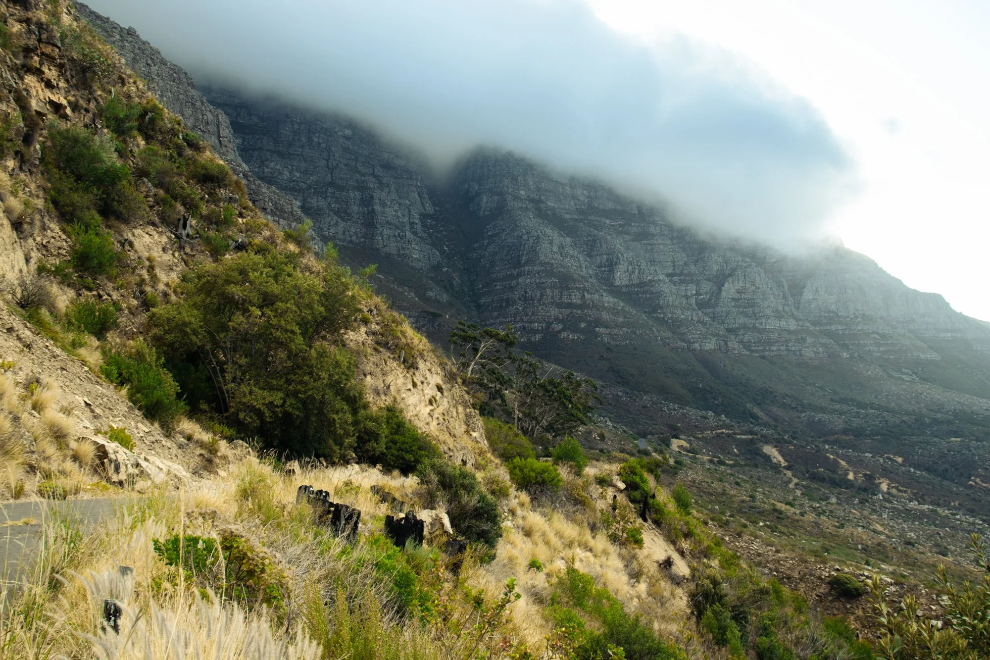 Kaapstad2.16.jpg