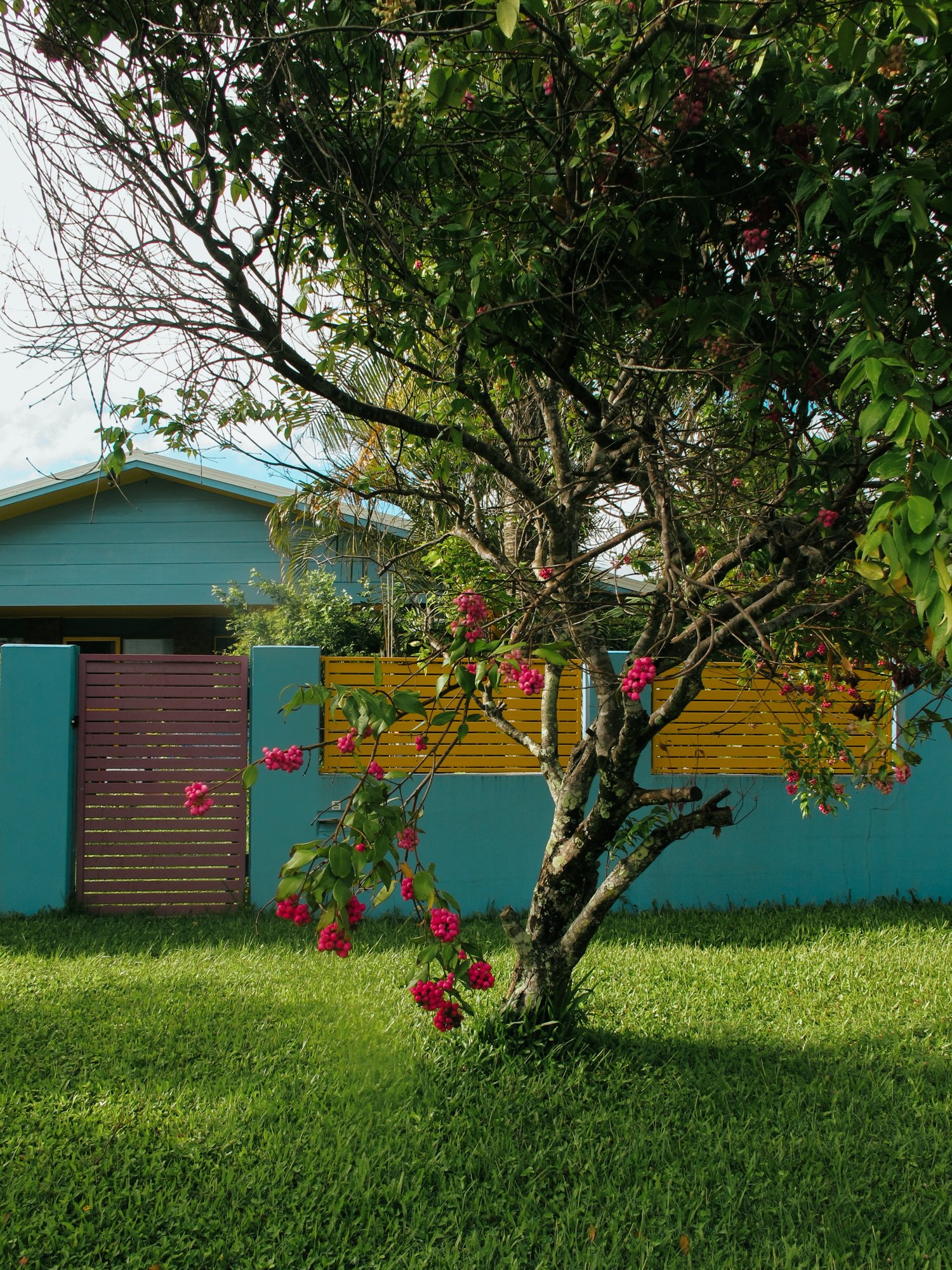 Sunshinecoast7.jpg