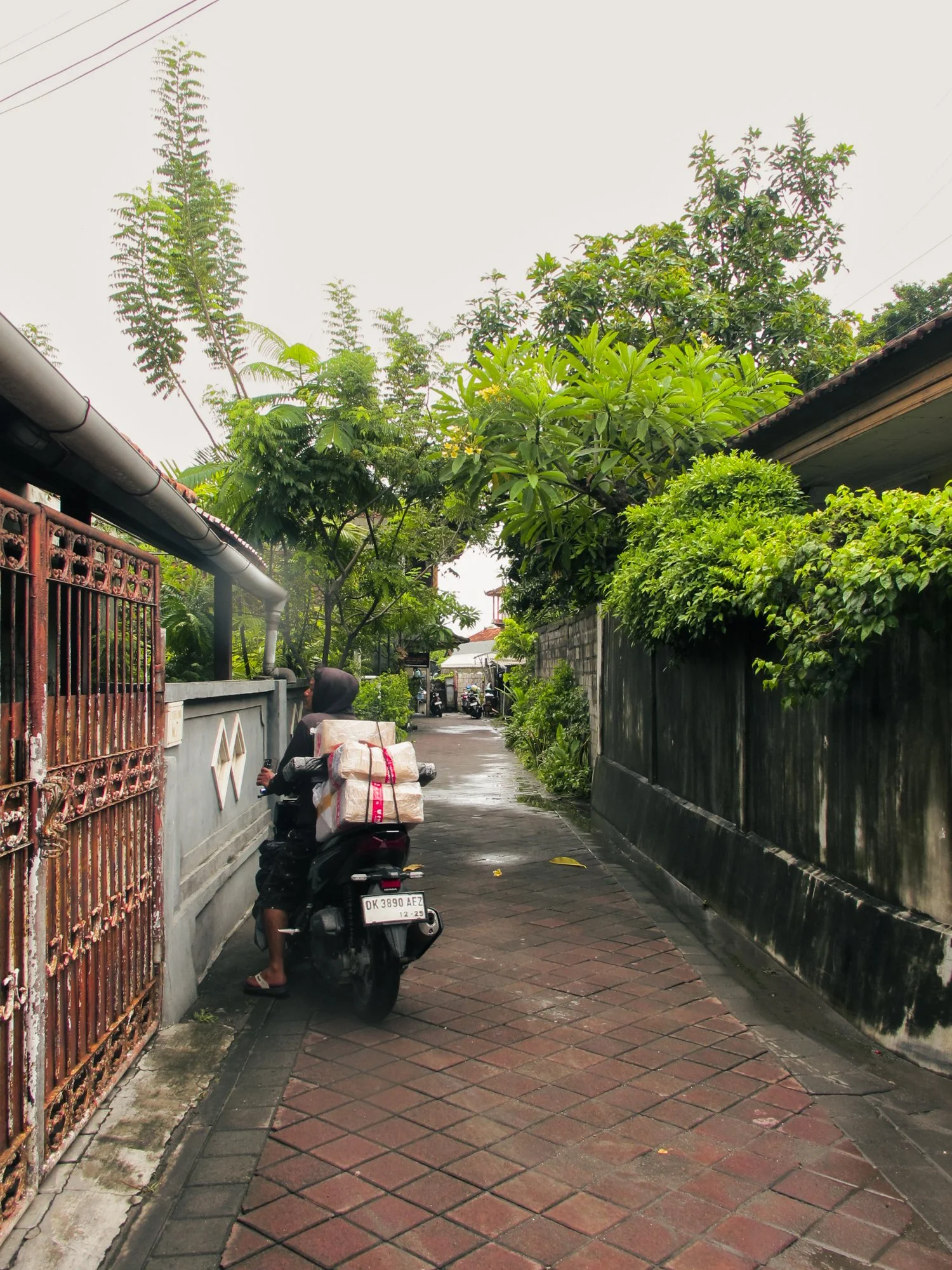 Bali2025.3.jpg