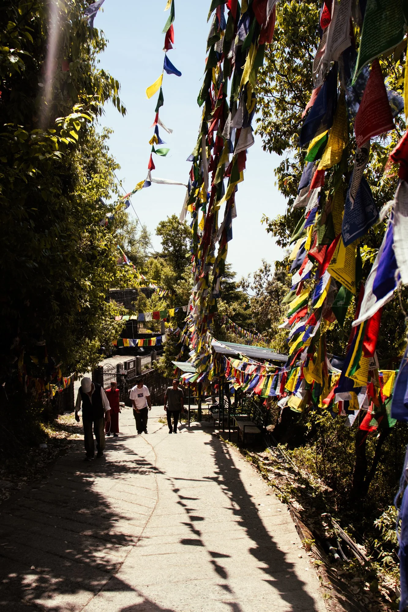streetphotographyDharamsala18.jpg