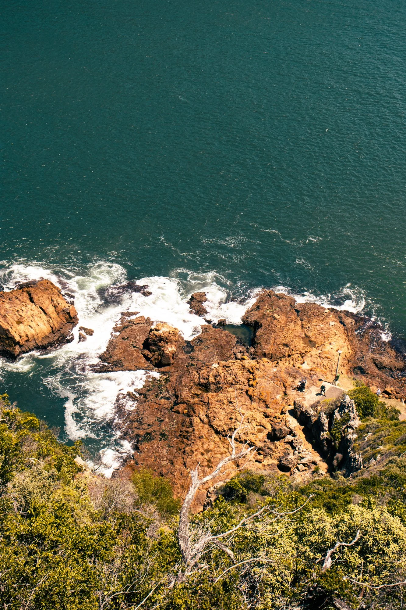 Knysna1.3.jpg