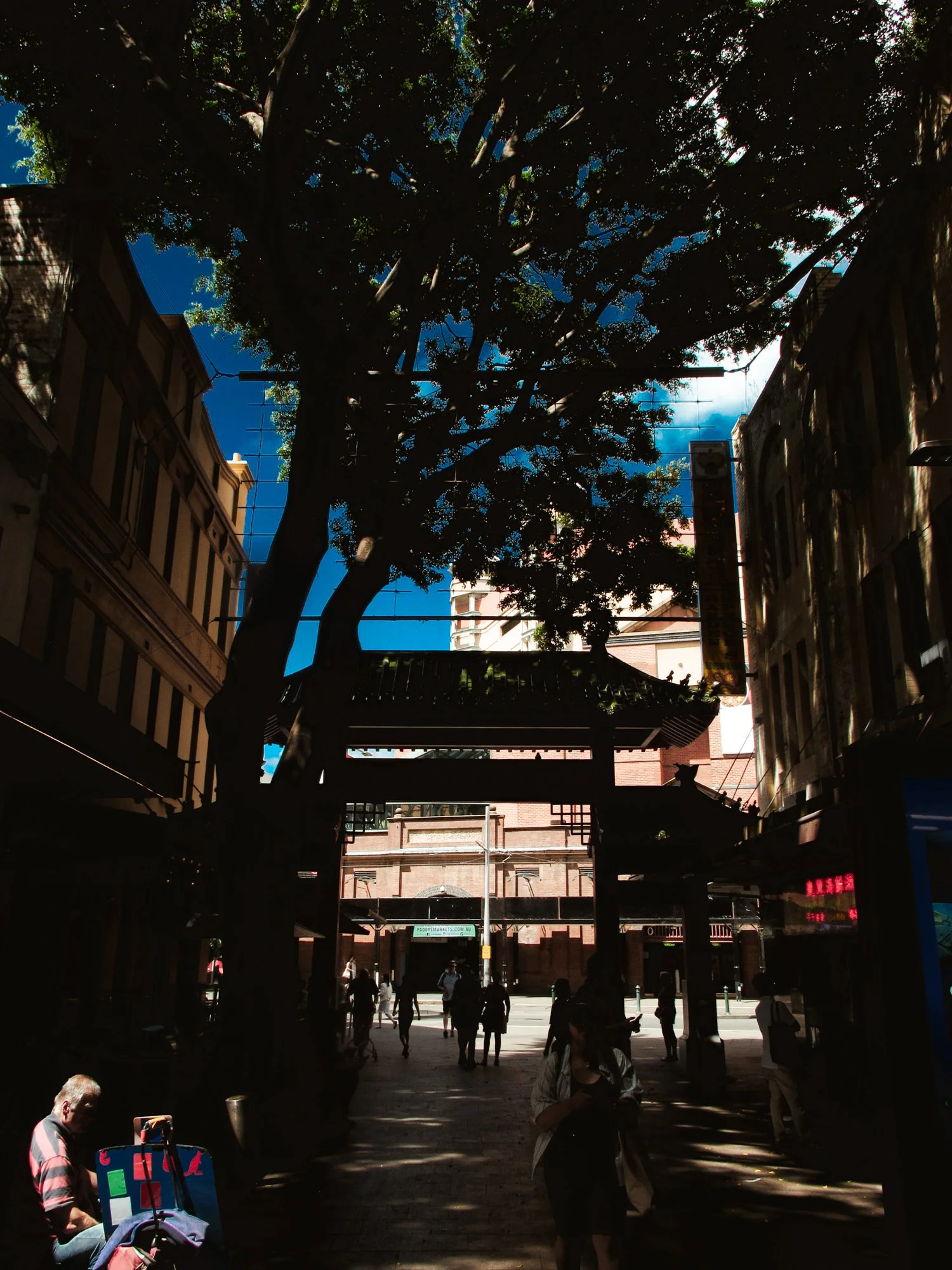 sydney24.jpg