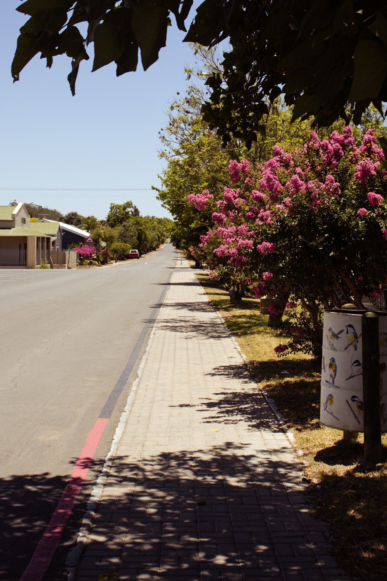 porterville2.14.jpg