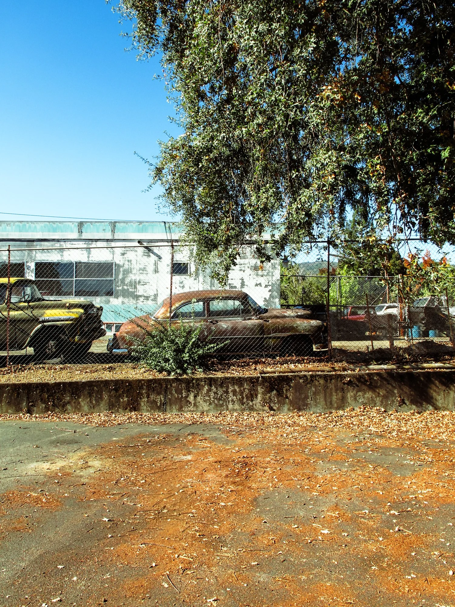 ukiah5.jpg
