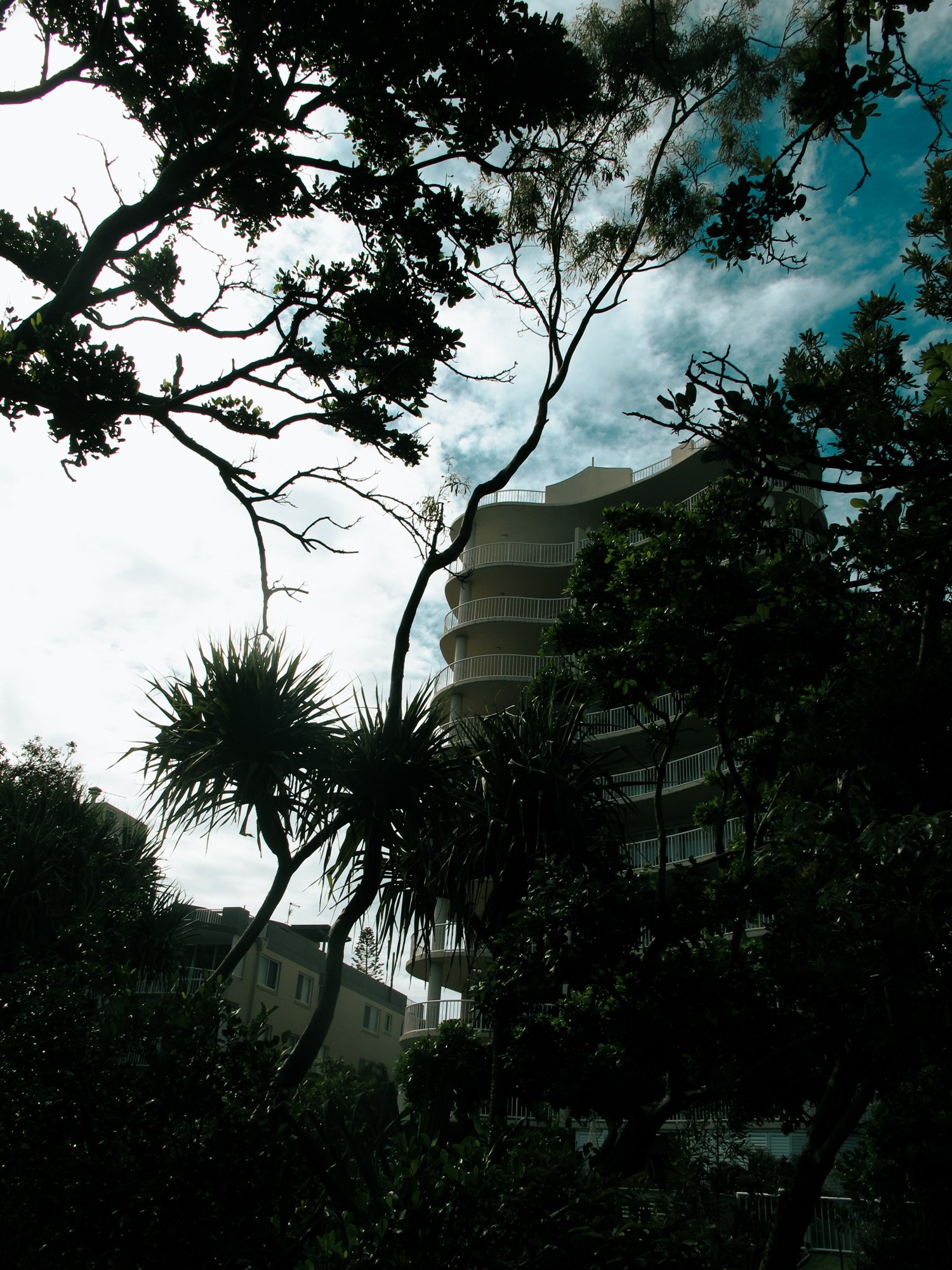 Sunshinecoast19.jpg