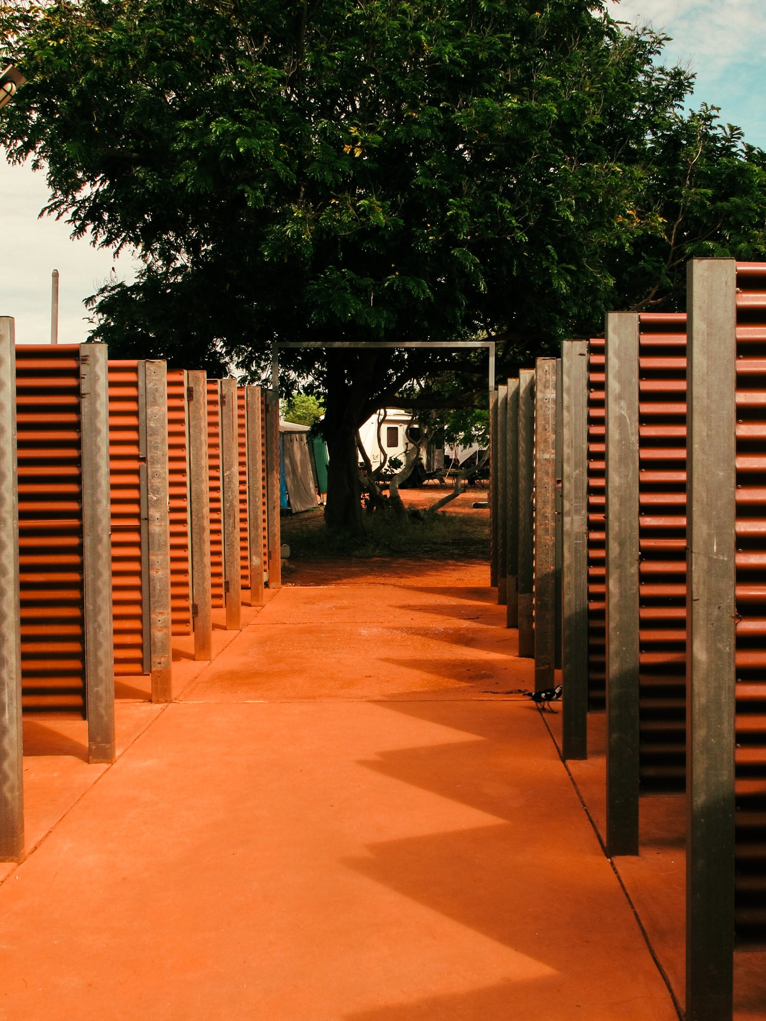 barnhill11.jpg