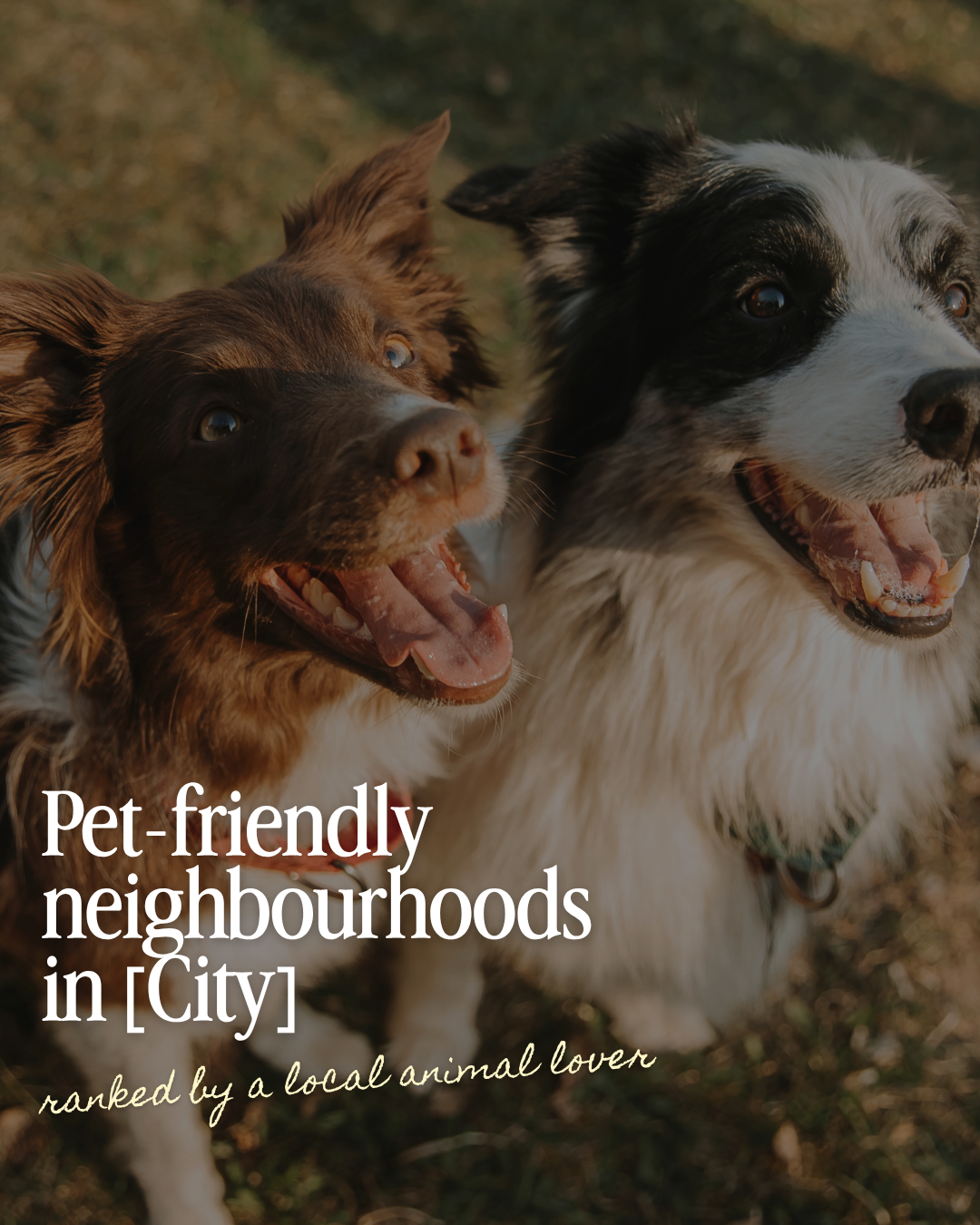 Two happy dogs outdoors with text reading “Pet-friendly neighborhoods in [City], ranked by a local animal lover.”