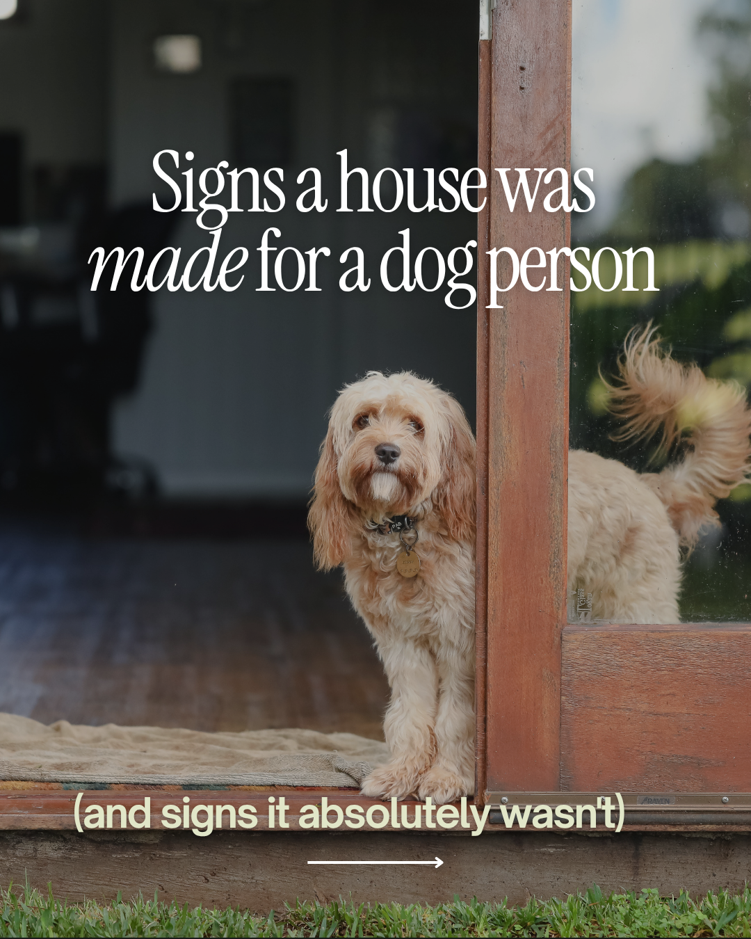 Fluffy dog standing in a doorway beneath text reading, “Signs a house was made for a dog person.”
