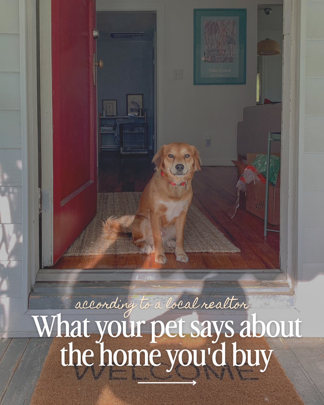 Golden retriever mix sitting in an open front doorway with text overlay about what a pet says about the home you'd buy