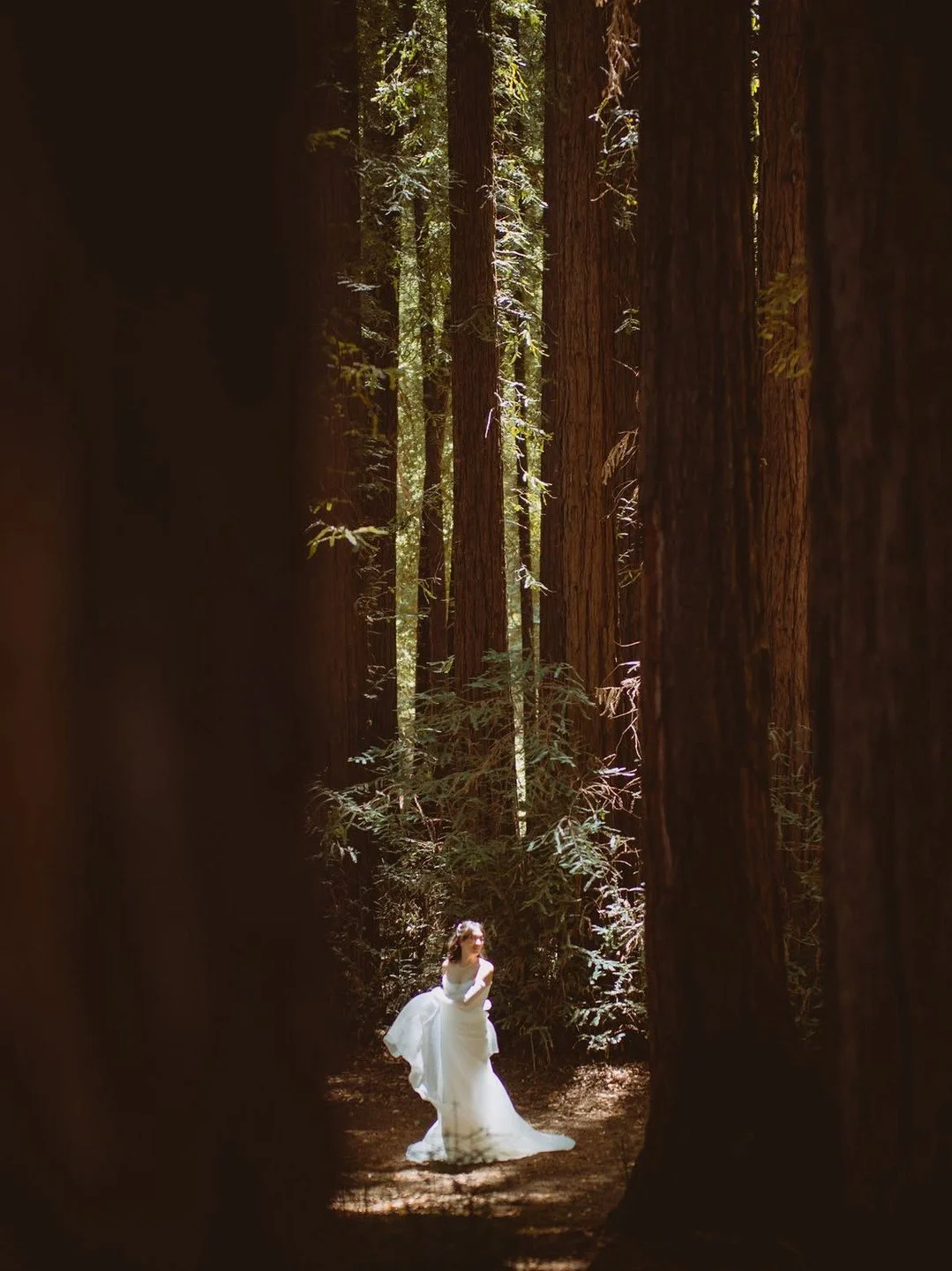 ⁠Somewhere between the redwoods and the sunlight ✨ A first look at the dreamiest Mill Valley wedding weekend, with a celebration at the @outdoorartclub and beautiful moments at every turn.⁠
⁠
Planning: @eventsbygs⁠
Photography: @teribphotography⁠
Ven