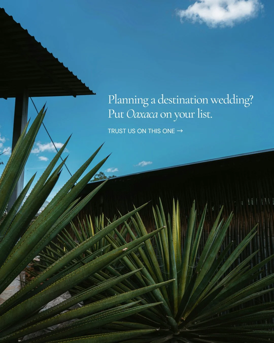 We went to Oaxaca and quickly understood why it makes such an incredible place to get married. The food, the makers, the history, the traditions&mdash;it&rsquo;s the kind of destination where the place becomes part of the wedding itself.⁠
⁠
We&rsquo;