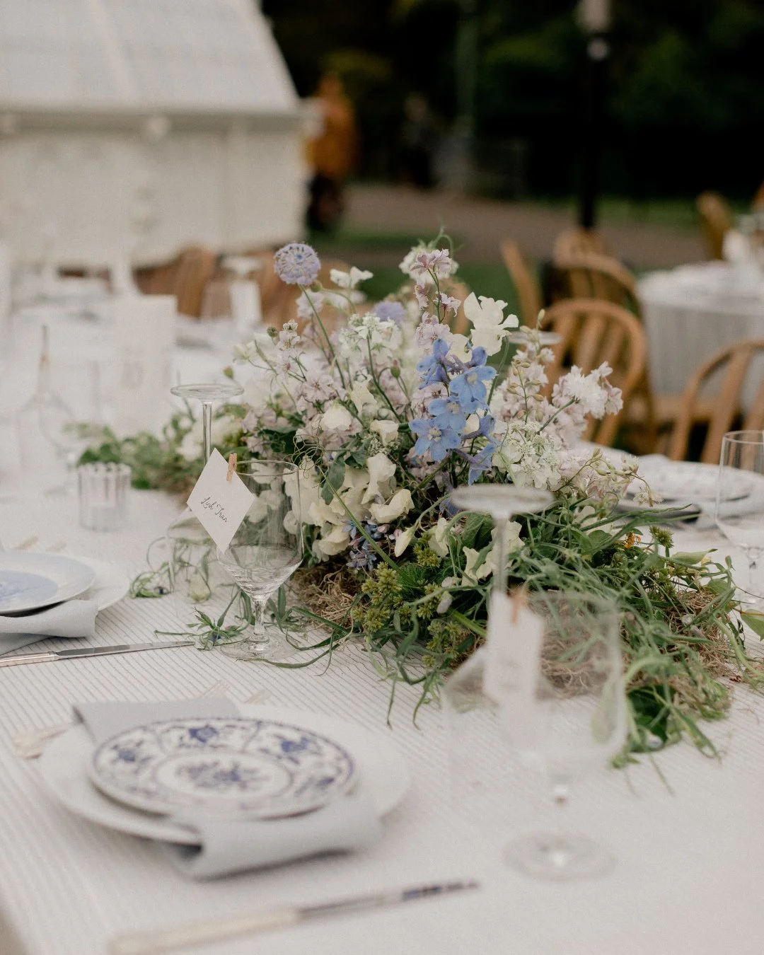 Wild florals, mismatched vintage-inspired china, and dinner beneath the glasshouse. Liz &amp; Joe&rsquo;s @conservatoryofflowers reception was something special. ⁠
⁠
Planning @eventsbygs ⁠
Venue @conservatoryofflowers⁠
Photography @kellyboitanophoto 
