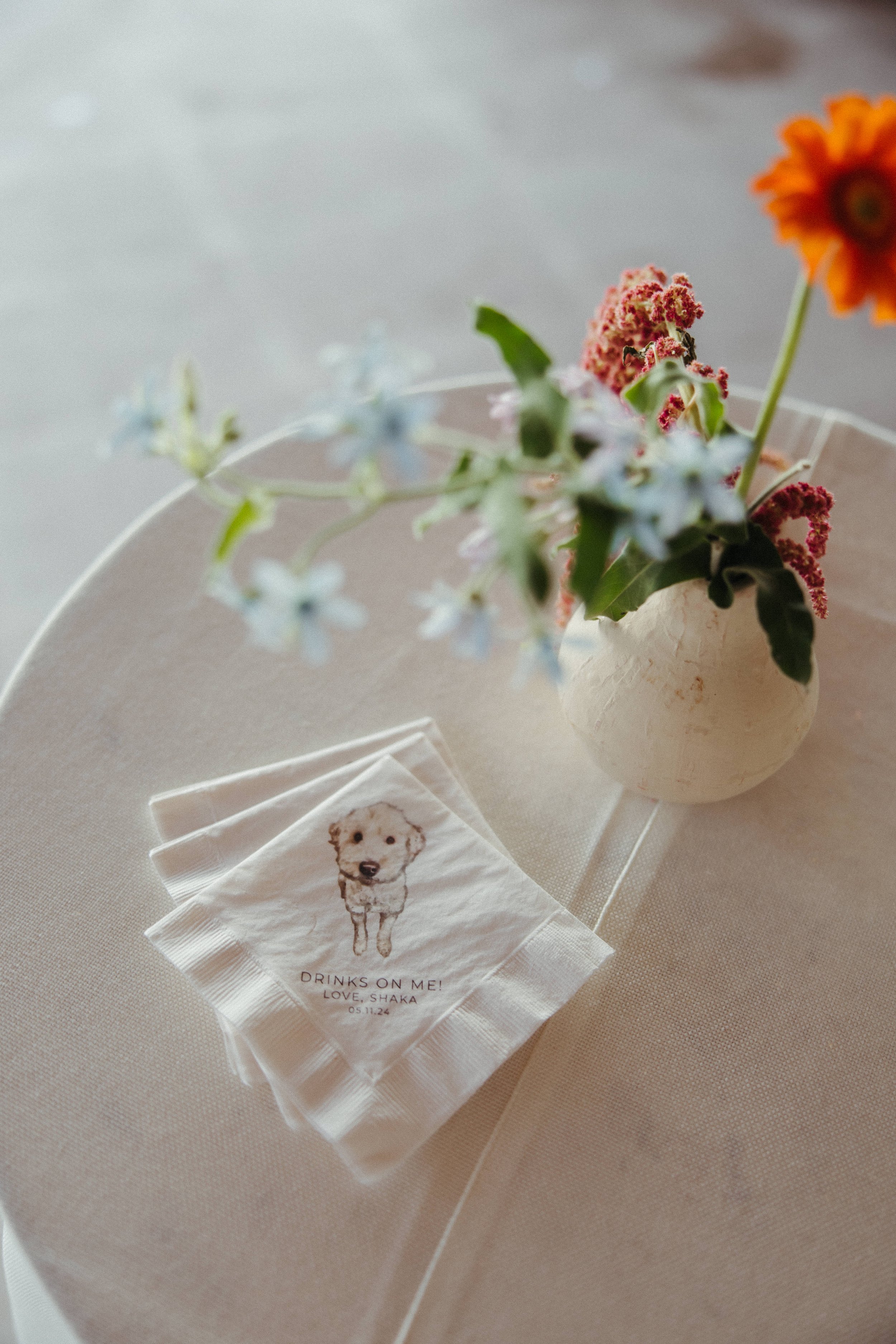 alt_detail-dog-napkin.jpg