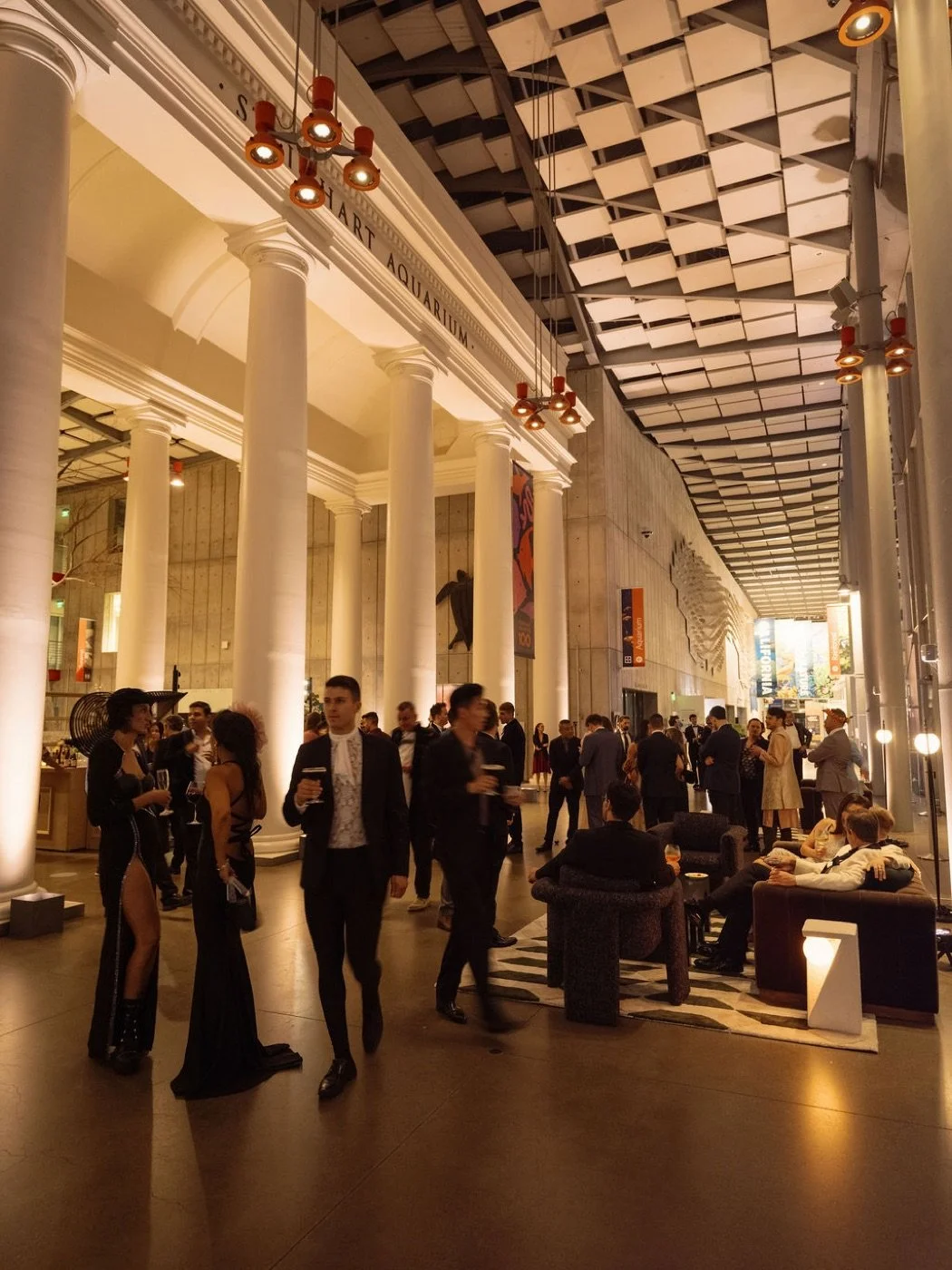 08_cocktails_colonnade_web.jpg