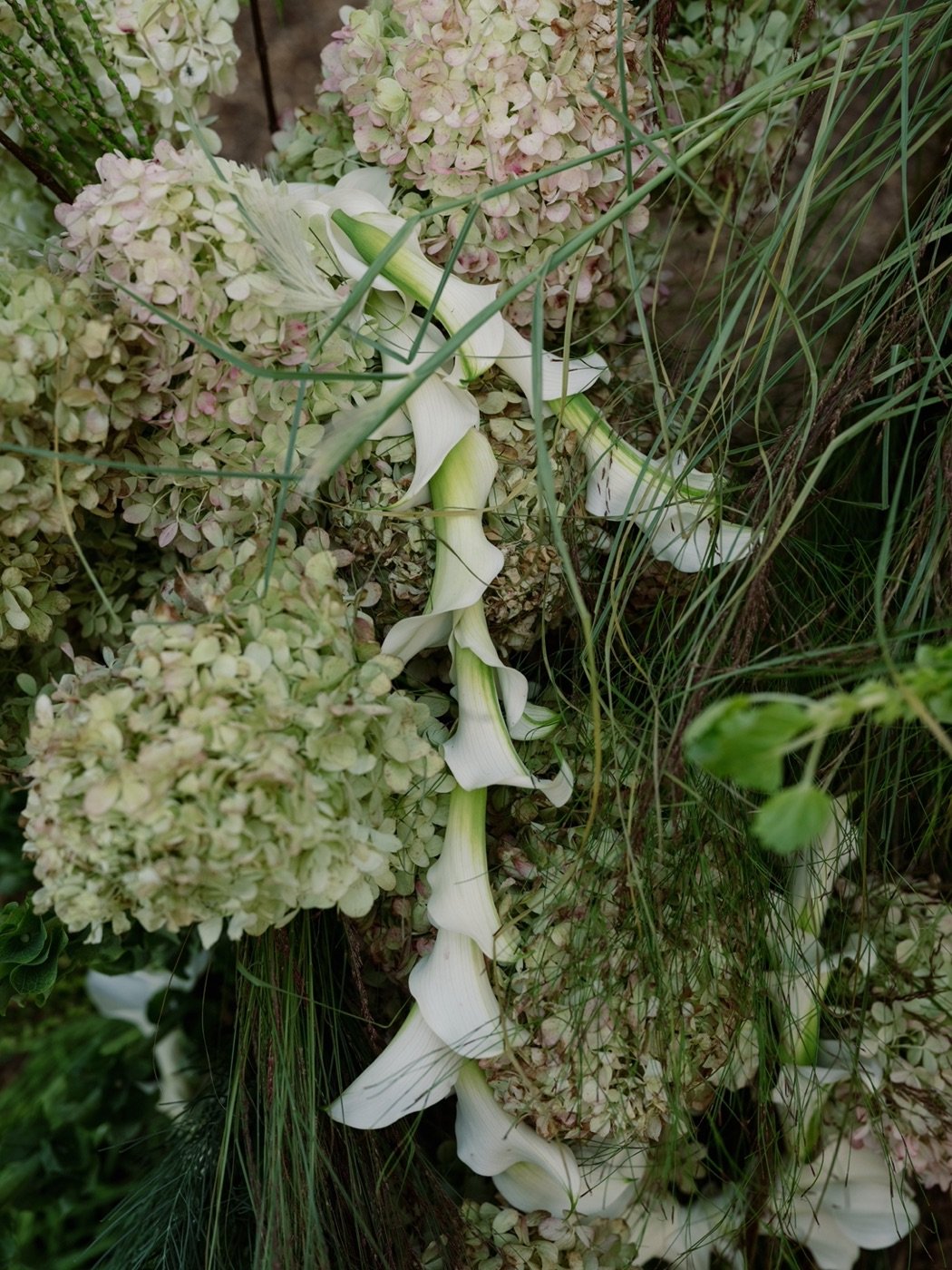 07_florals_calla-hydrangea_web.jpg