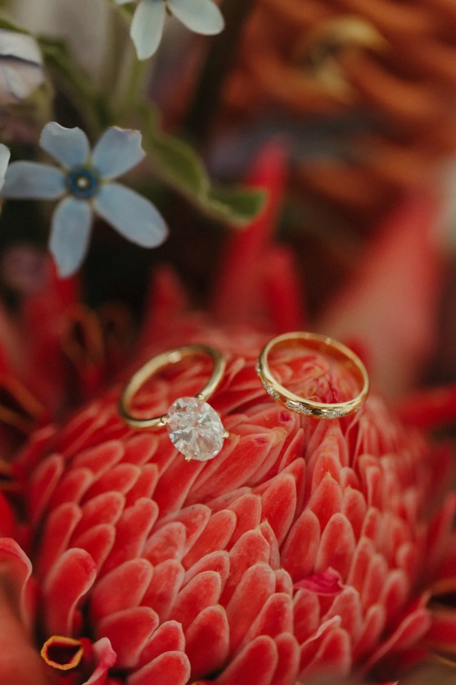 03_detail_rings-torch-ginger_web.jpg