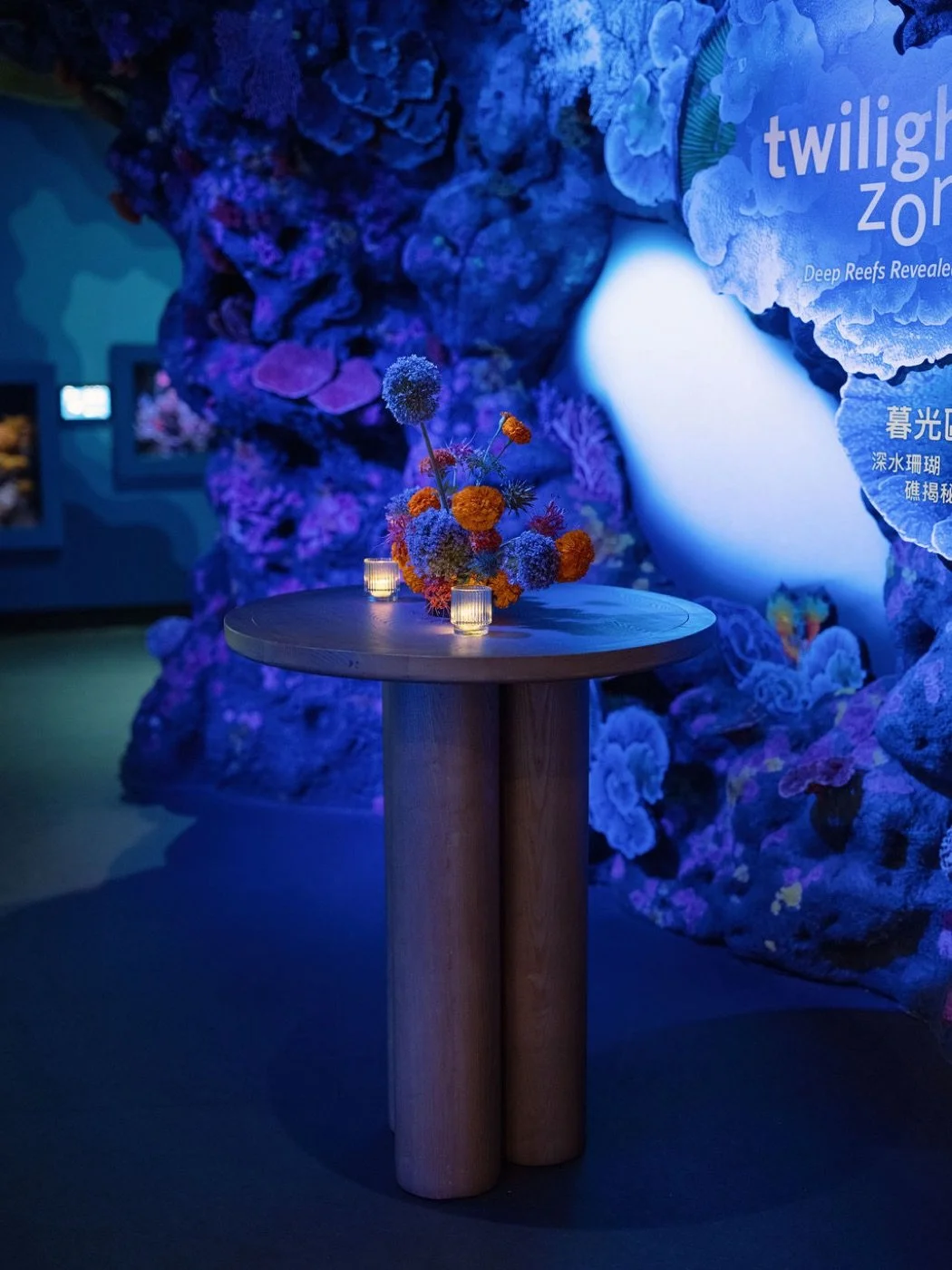 09_aquarium-twilight-table_web.jpg