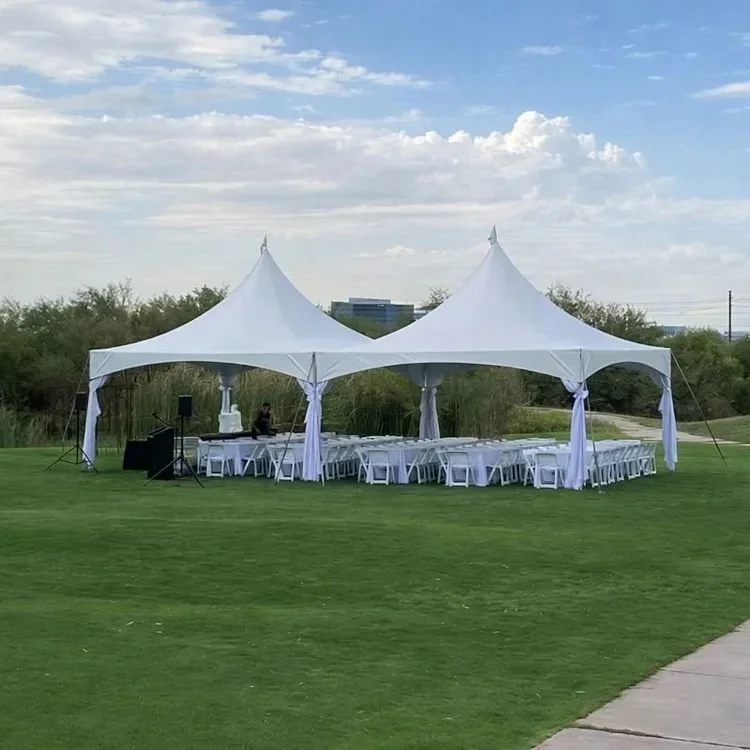 Simple but elegant 2 tent arrangement in a field
