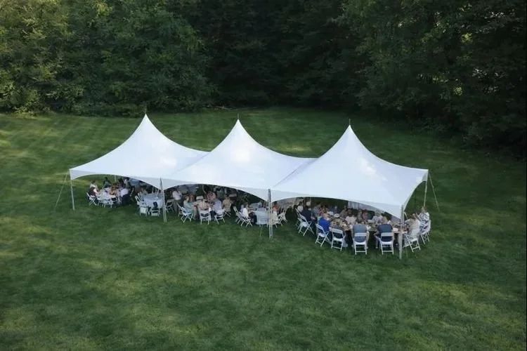 Three tent arrangement by a forest edge