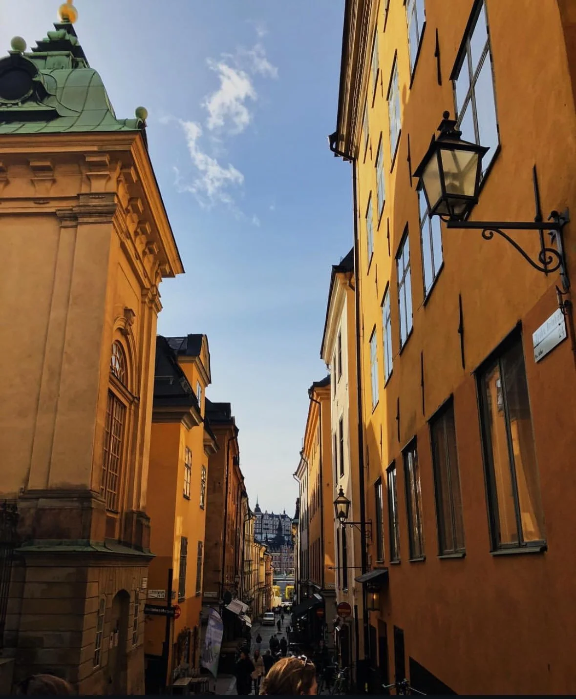 portfolio swe.jpg