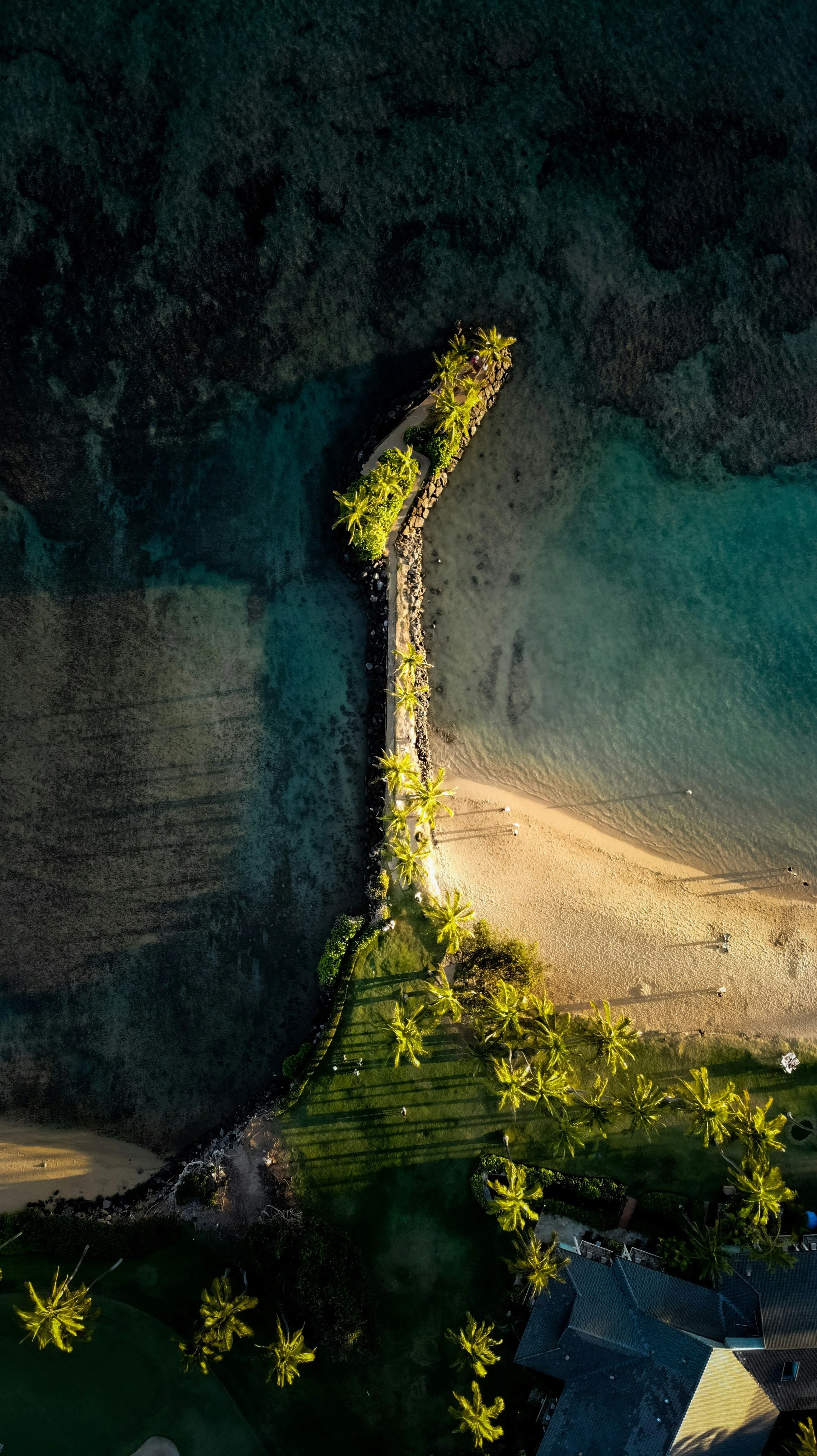 Aerial view of a tropical beach scene with palm trees, a sandy shoreline, and calm ocean water surrounding a rocky pier or breakwater.