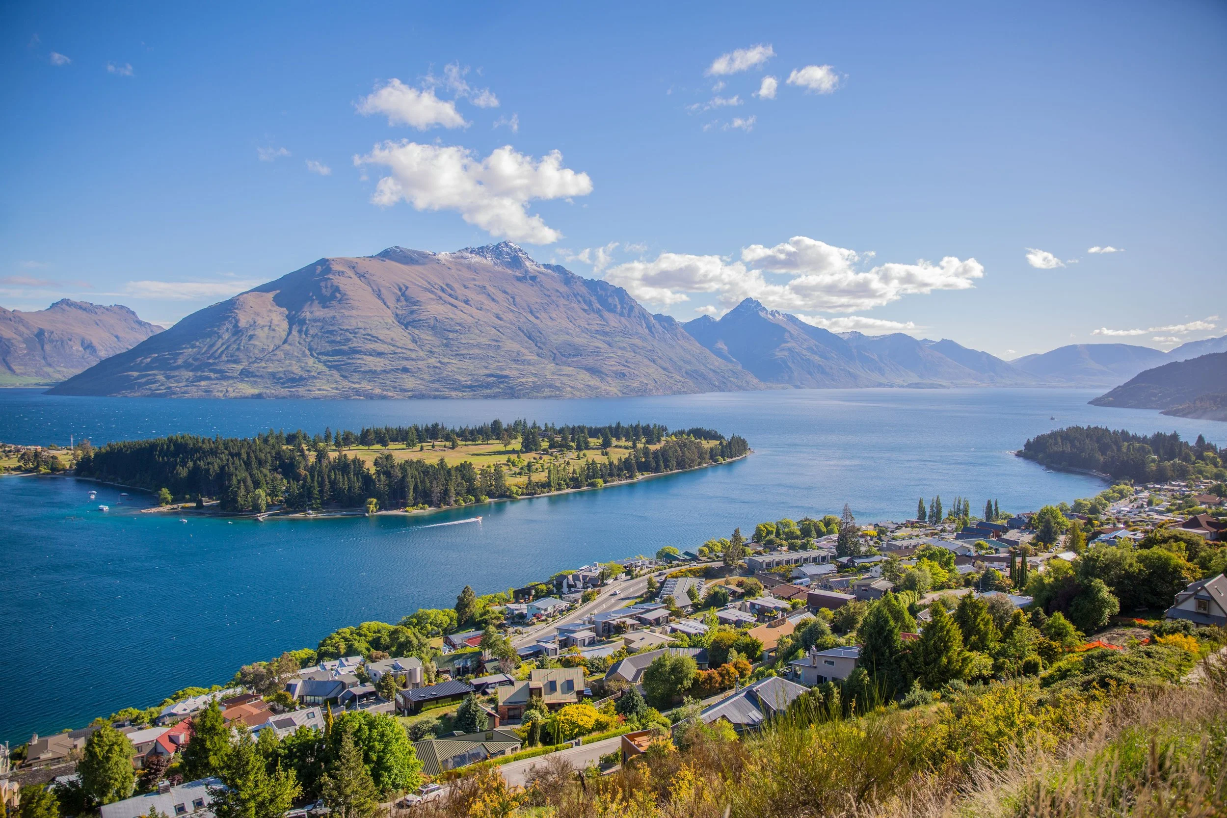 Going Back to New Zealand