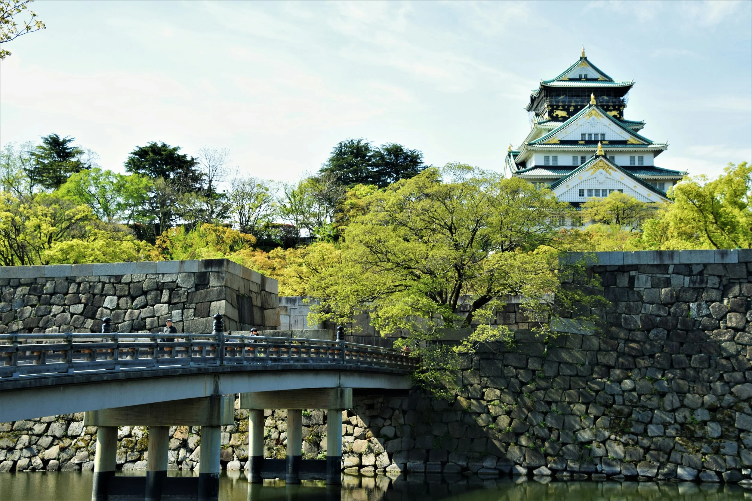 A traditional Japanese castle with white walls and green and gold details, partially obscured by lush green trees, seen beyond a stone wall and bridge over a river.