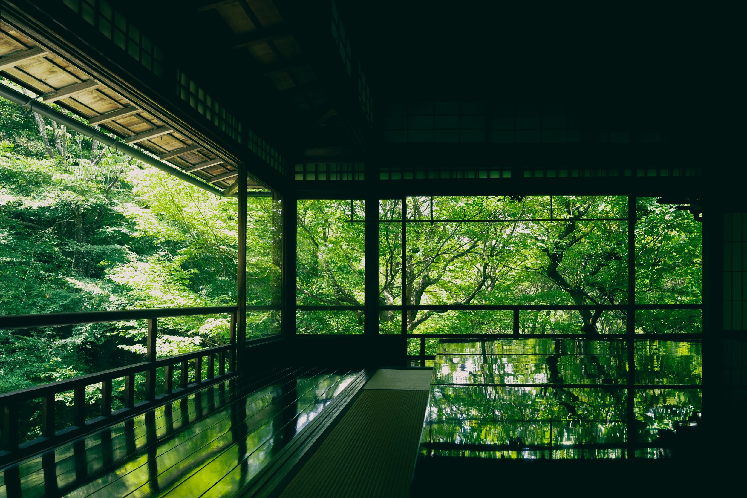 Interior of a traditional Japanese room with large windows open to a wooded garden with green leaves, made of wood and tatami mats.