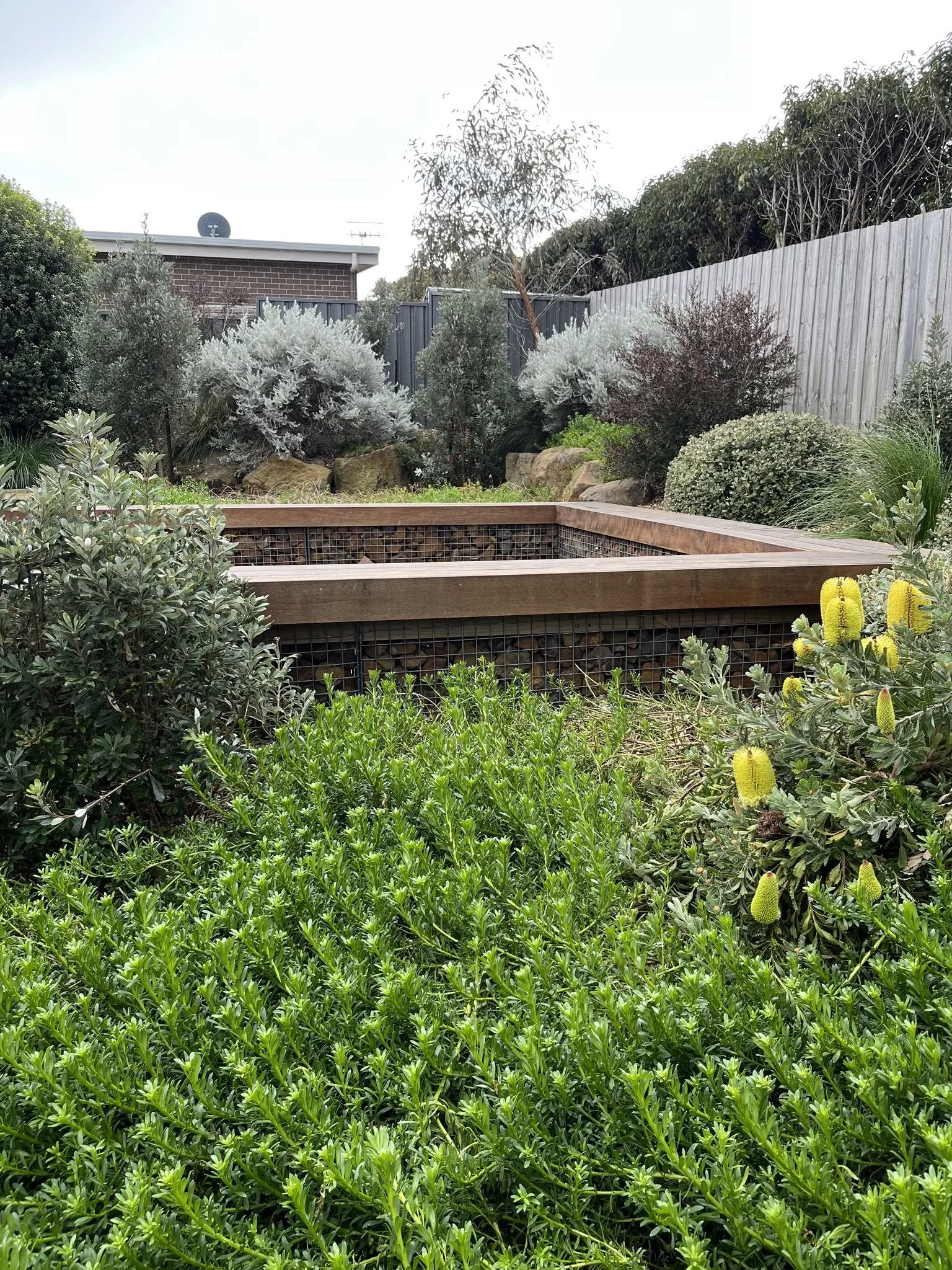 Backyard garden maintenance and landscaping service in Warrnambool