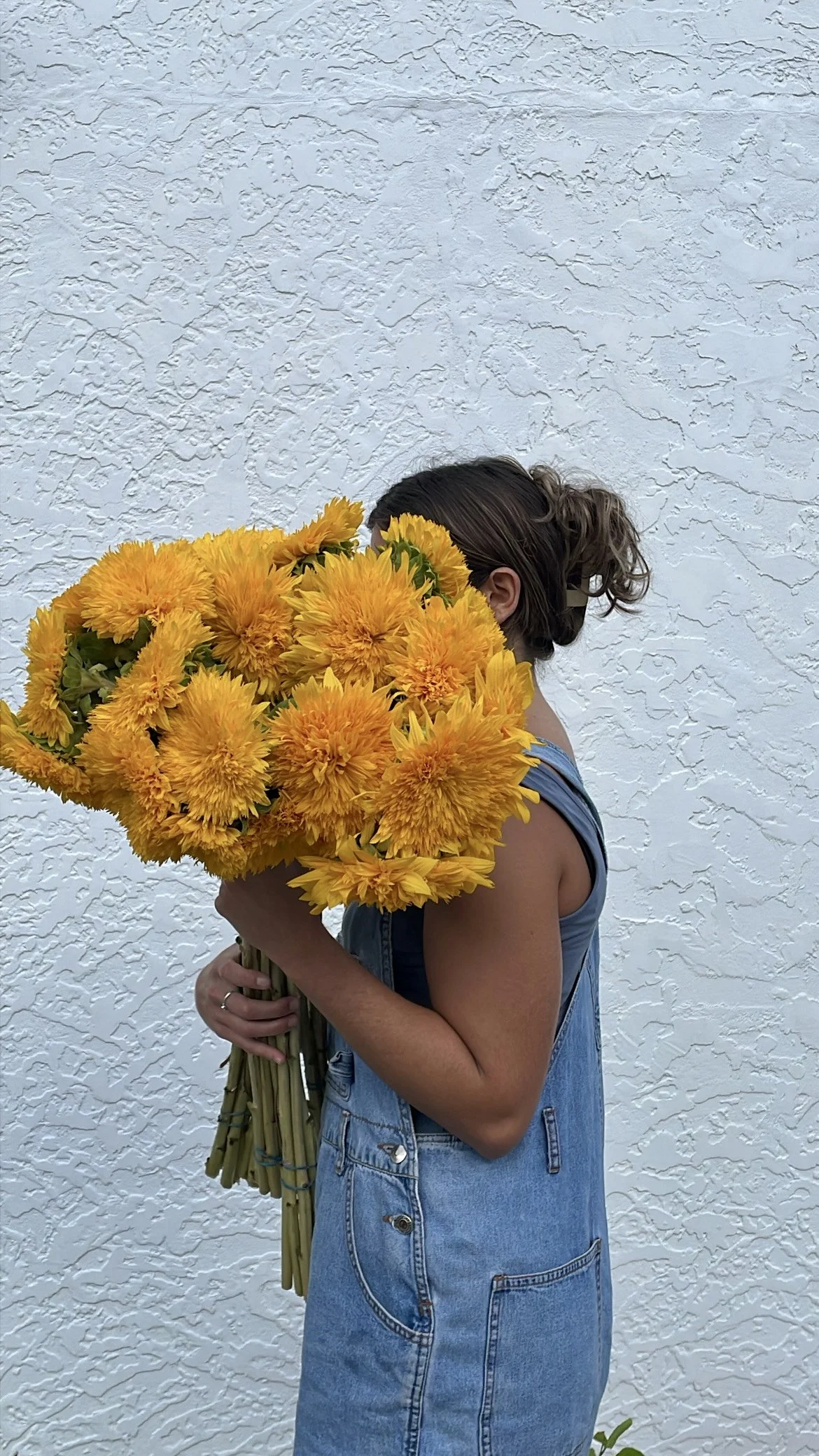 Sunflowers En Masse