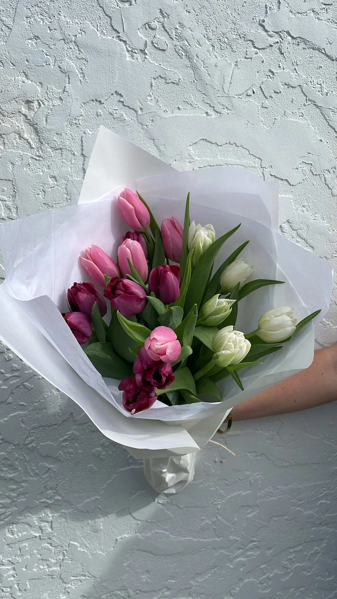 Tulips En Masse