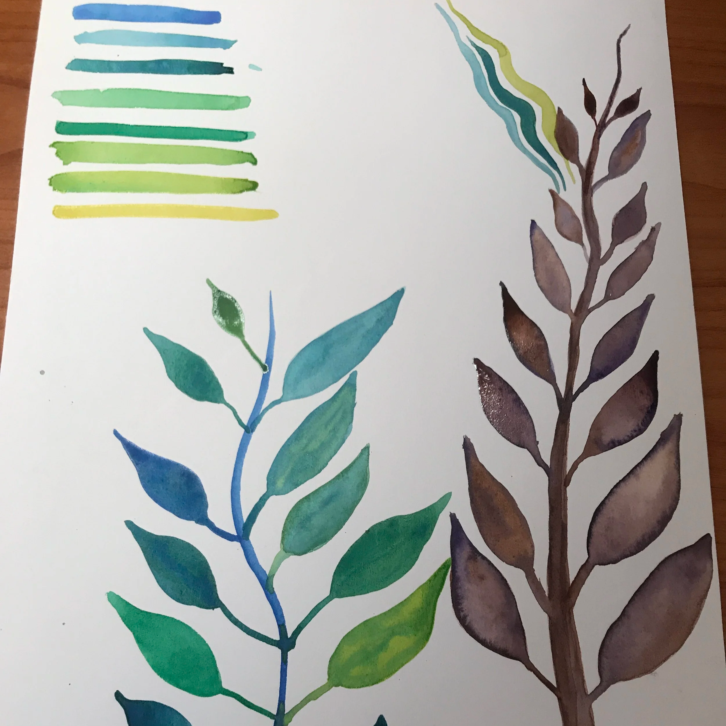 The Art of Watercolor with Margaret Mackie