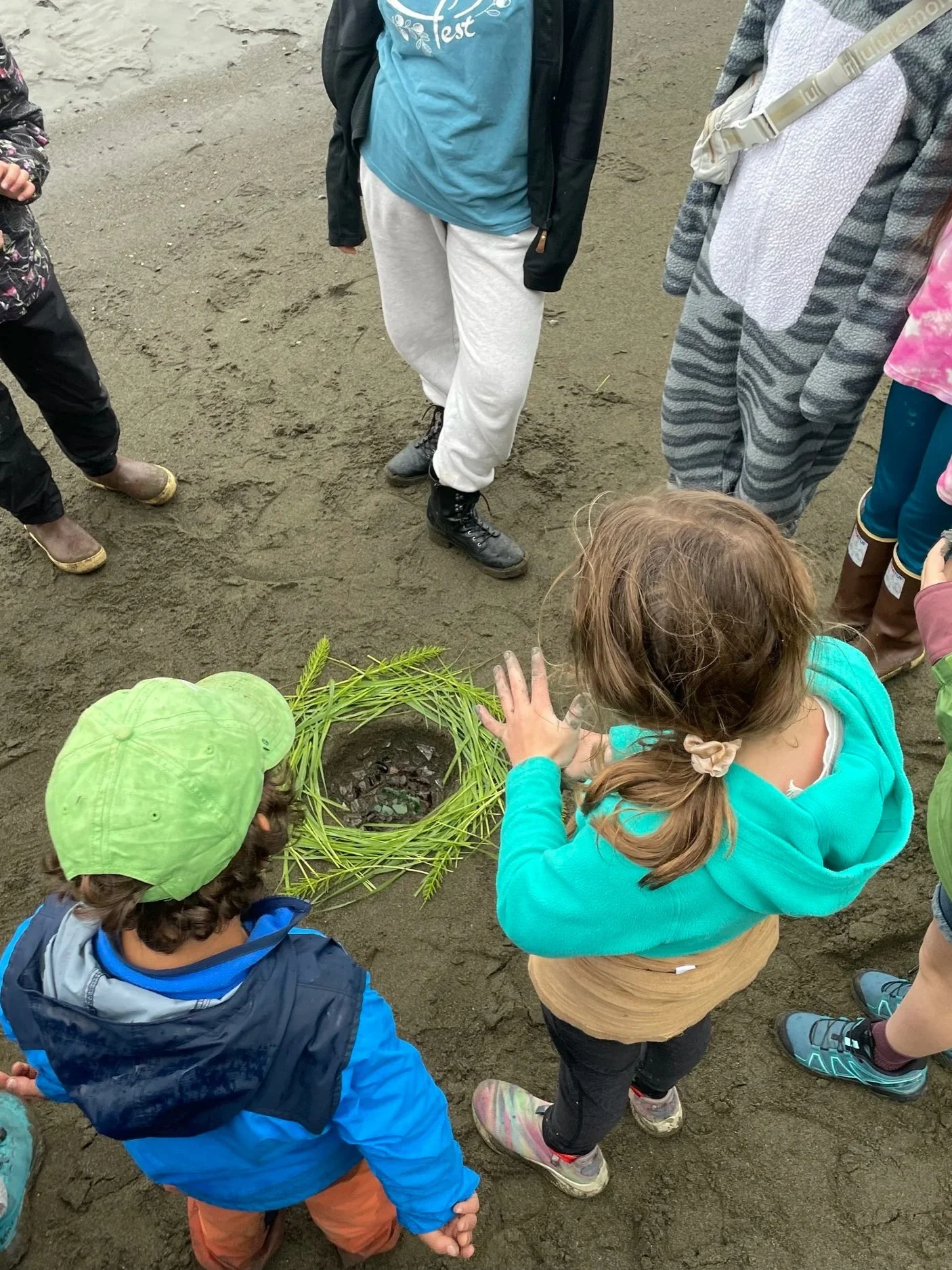 Children gathered around a small plant or tree on soil, with some children pointing or touching it, possibly participating in a planting or nature activity.