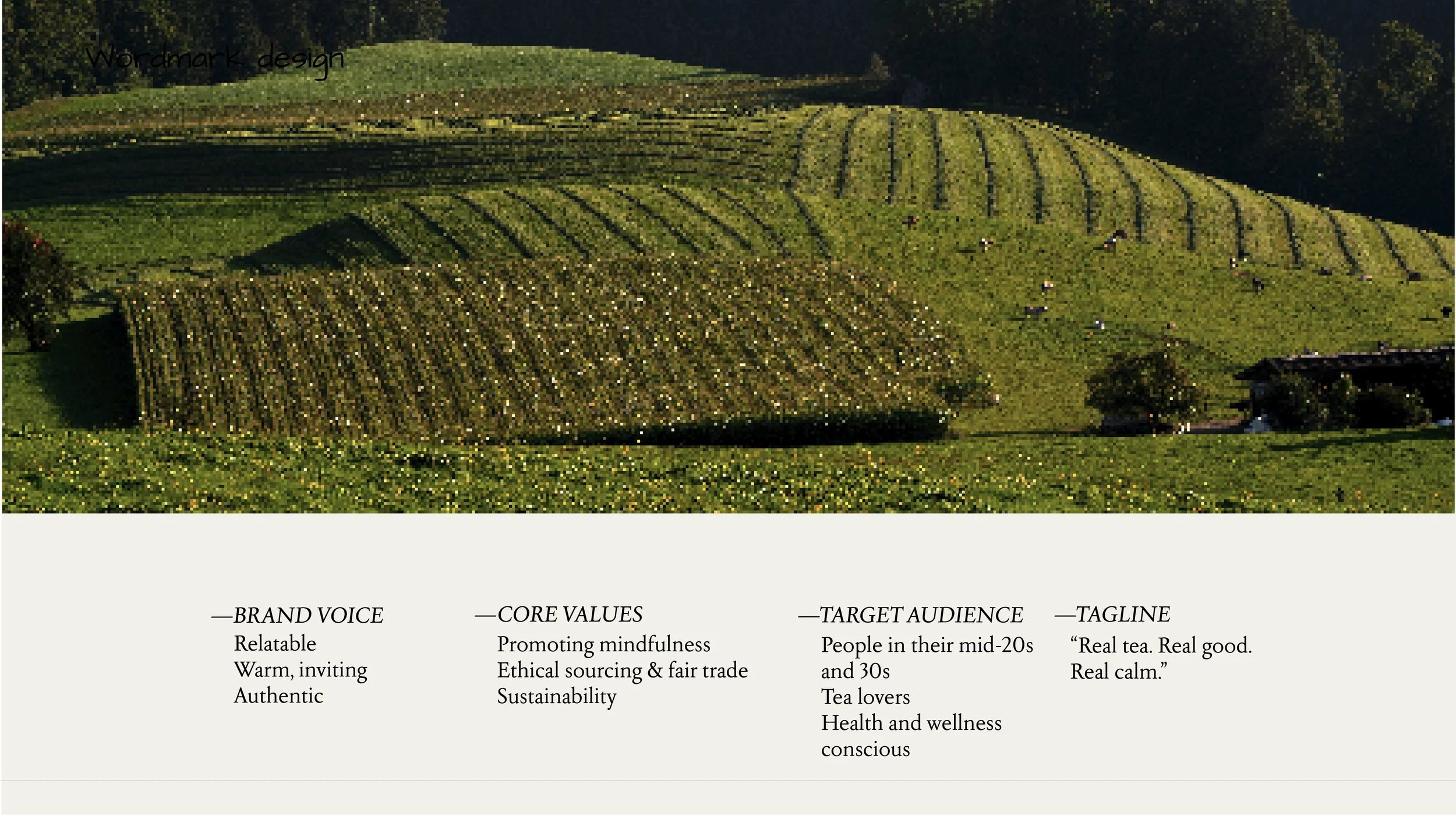 branding2_a05-03.jpg